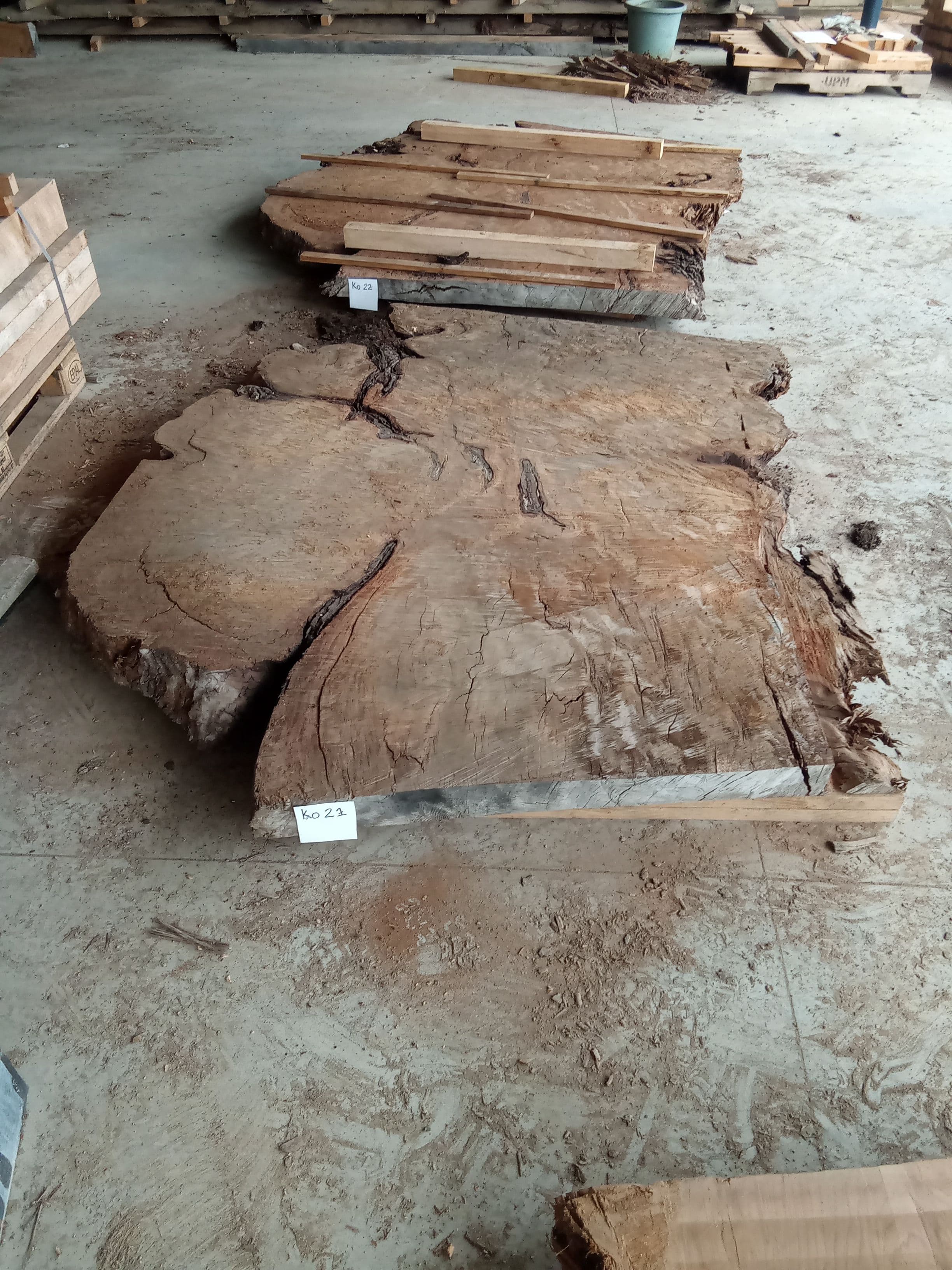 Kauri Slab #21