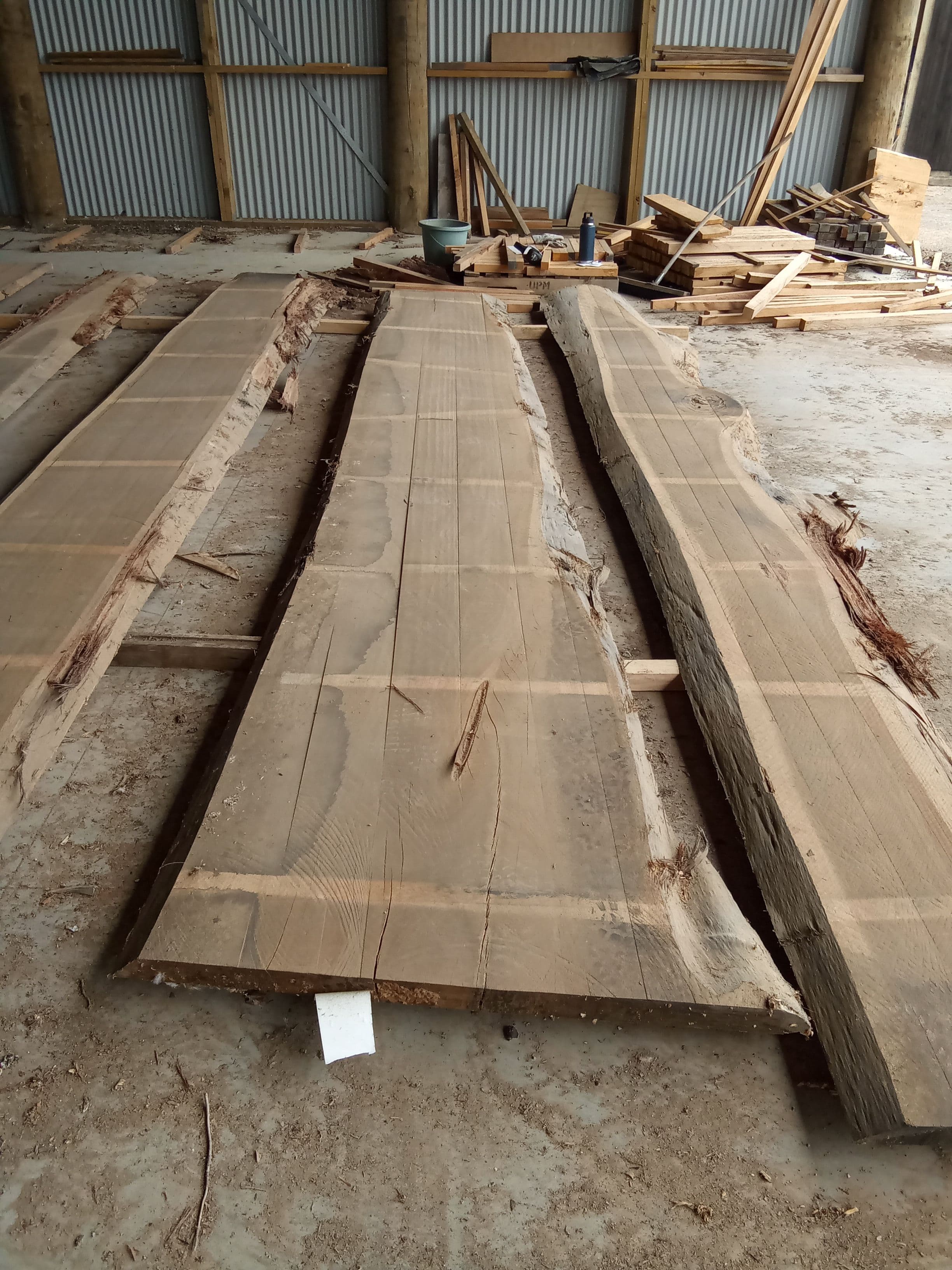 Blackbutt Eucalyptus Slab #10