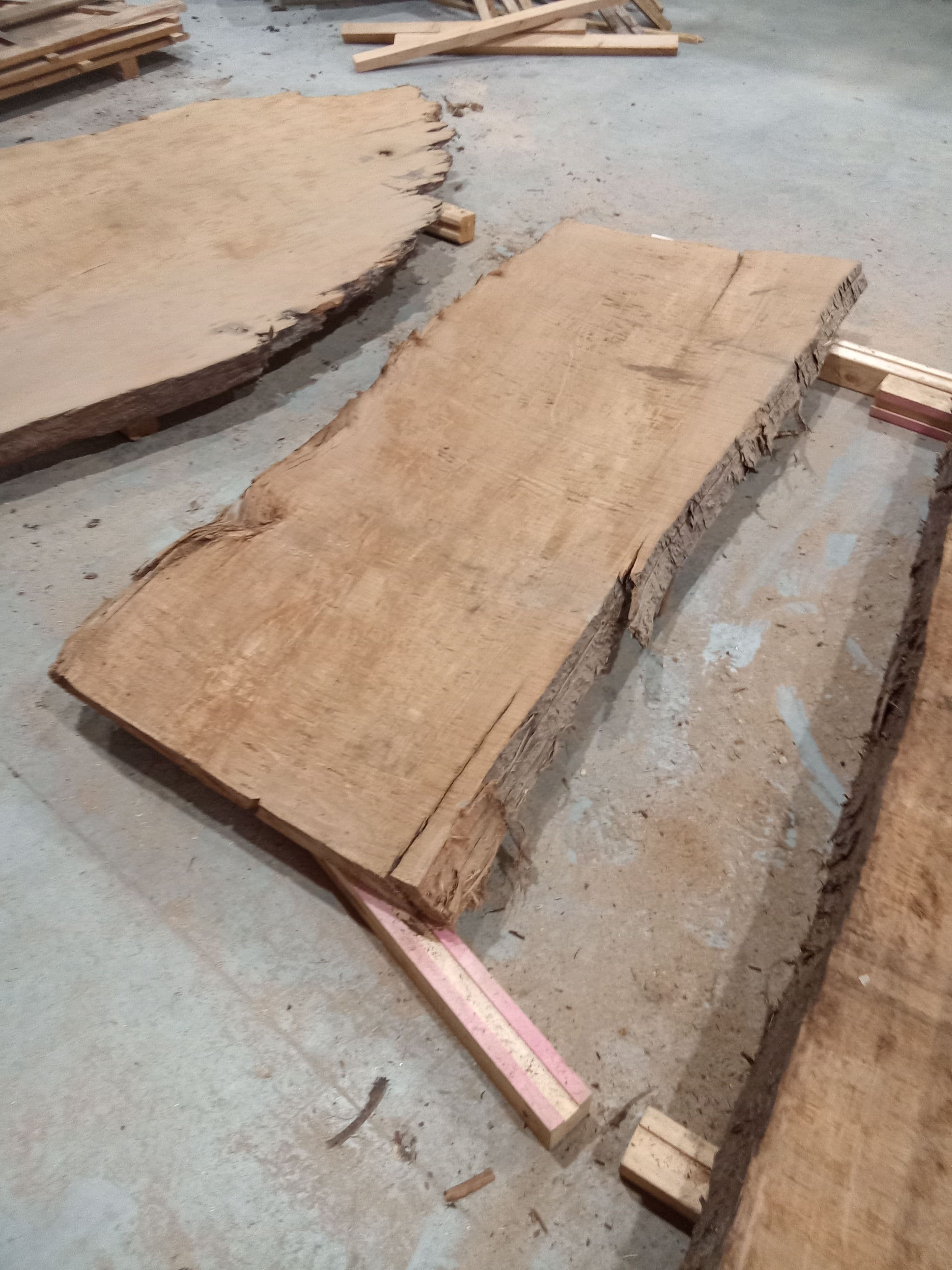 Kauri Slab #31 view 1