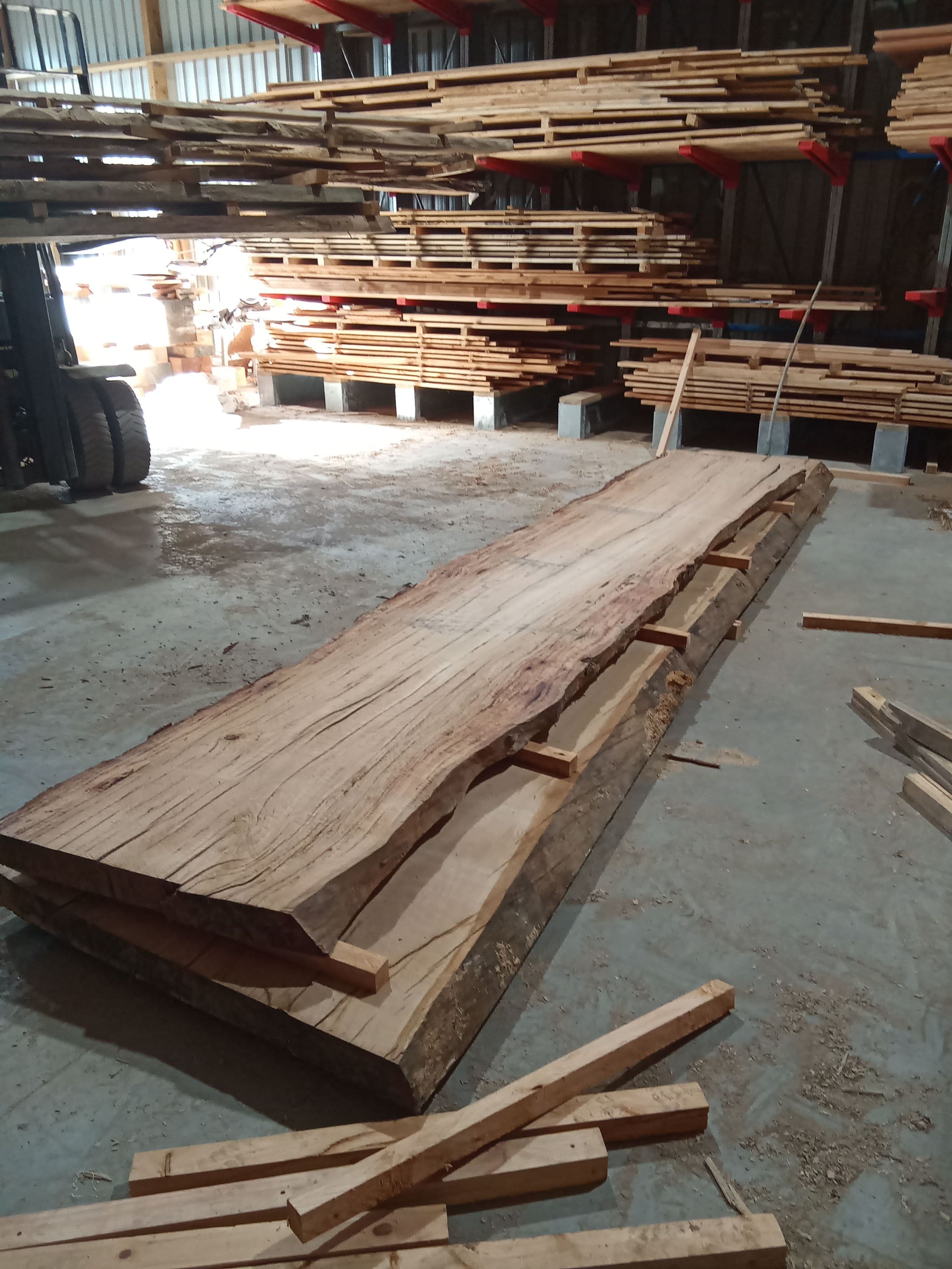 Blackbutt Eucalyptus Slab #2 view 1