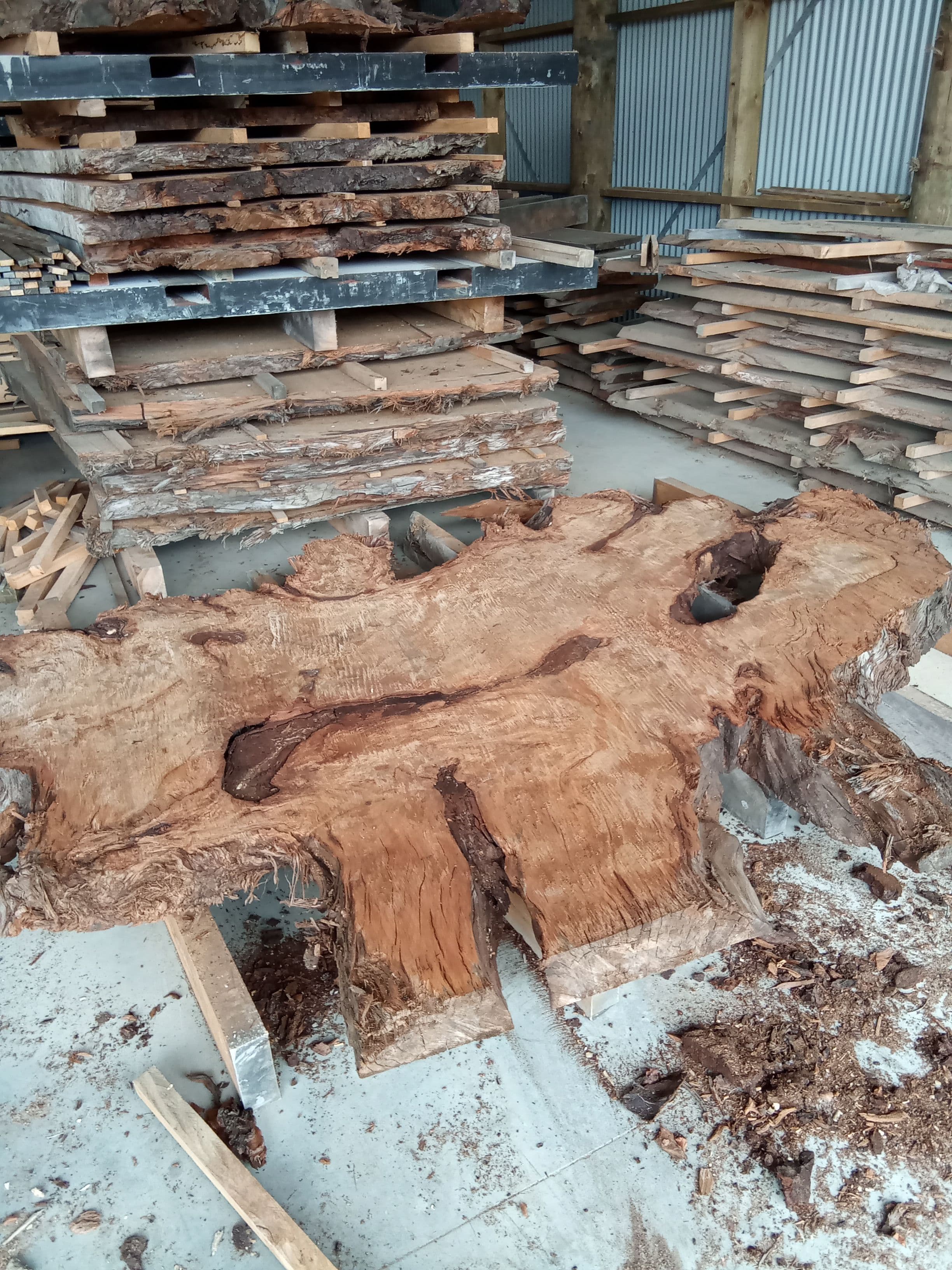 Kauri Slab #9 view 1