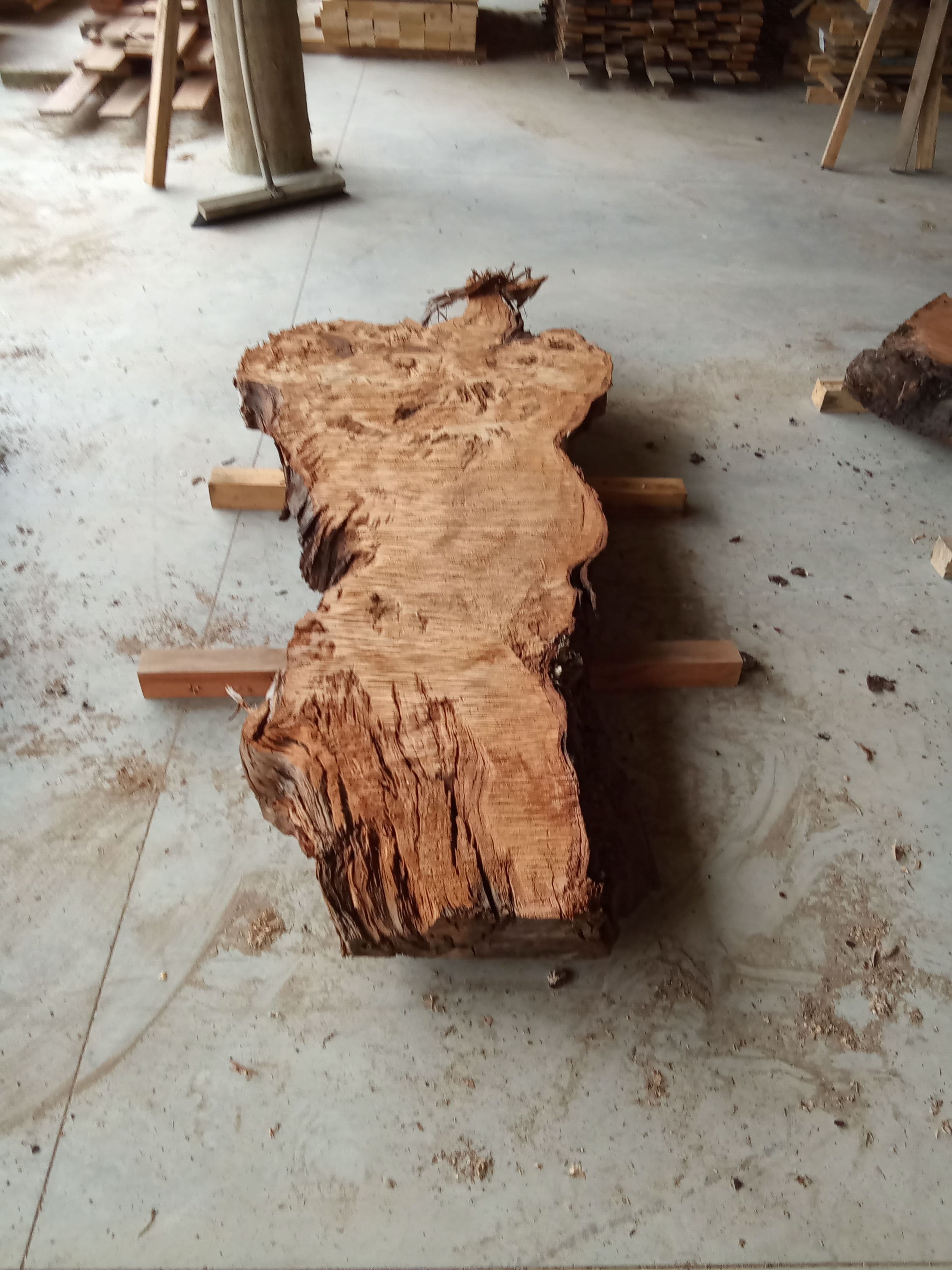 Kauri Slab #4 view 2