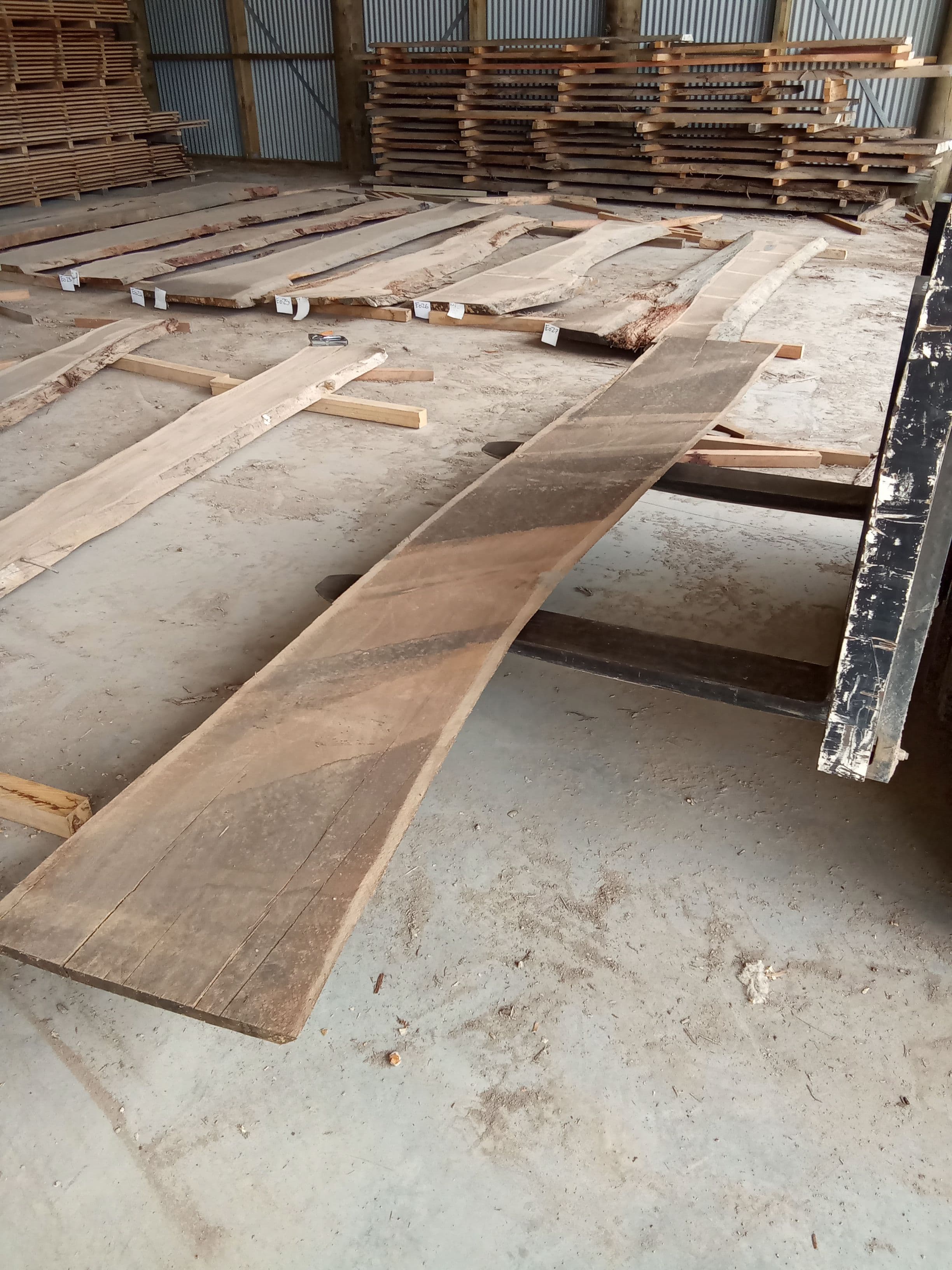 Blackbutt Eucalyptus Slab #28 view 1