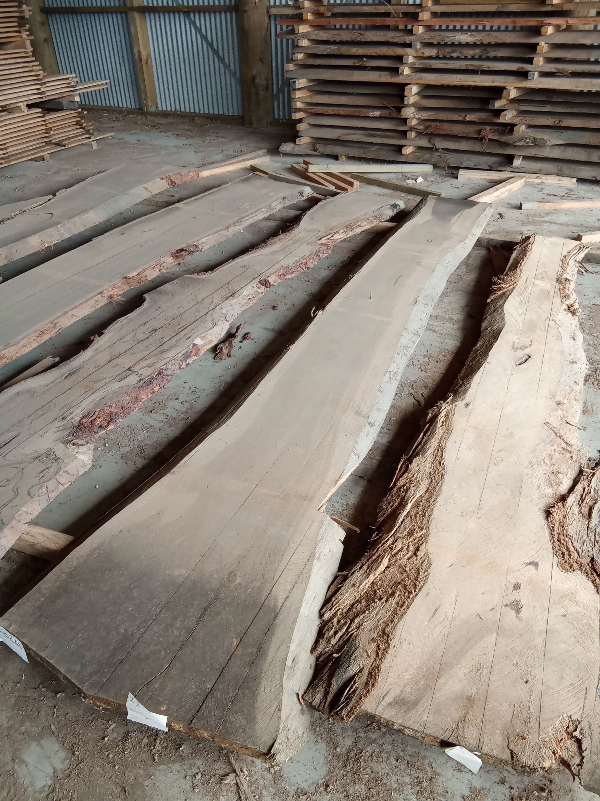 Blackbutt Eucalyptus Slab #24 view 1