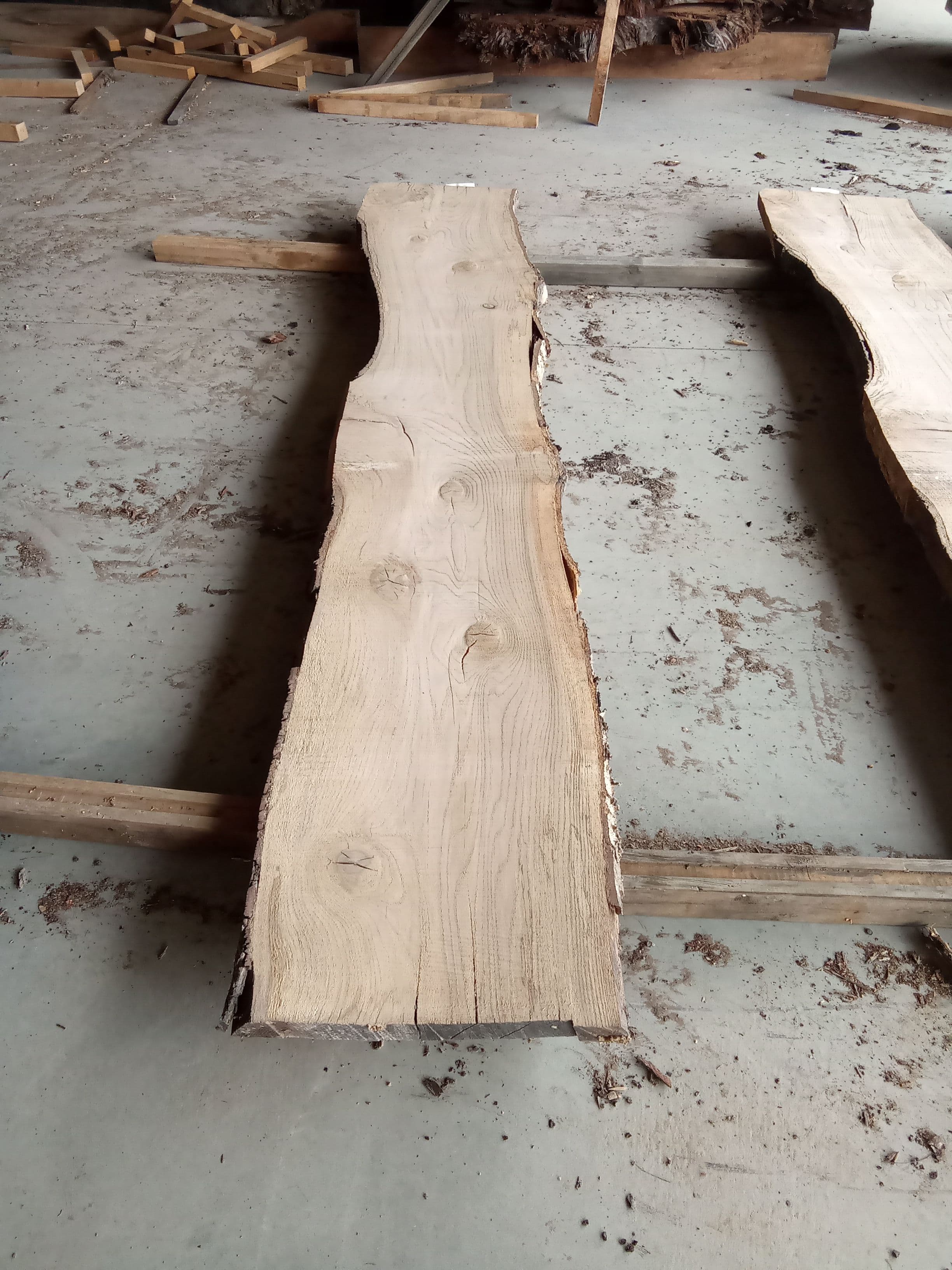 Oak Slab #5