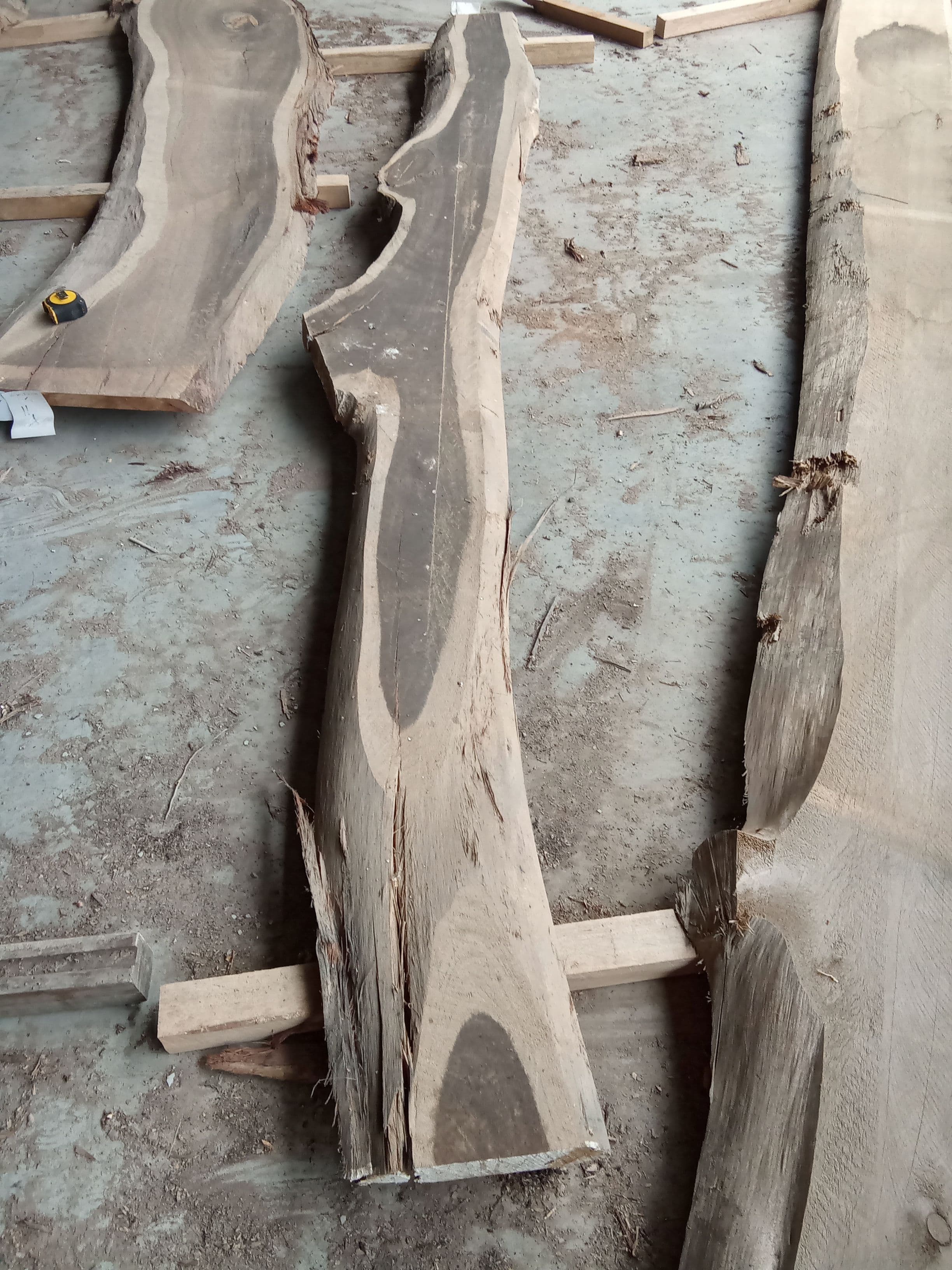Blackbutt Eucalyptus Slab #19