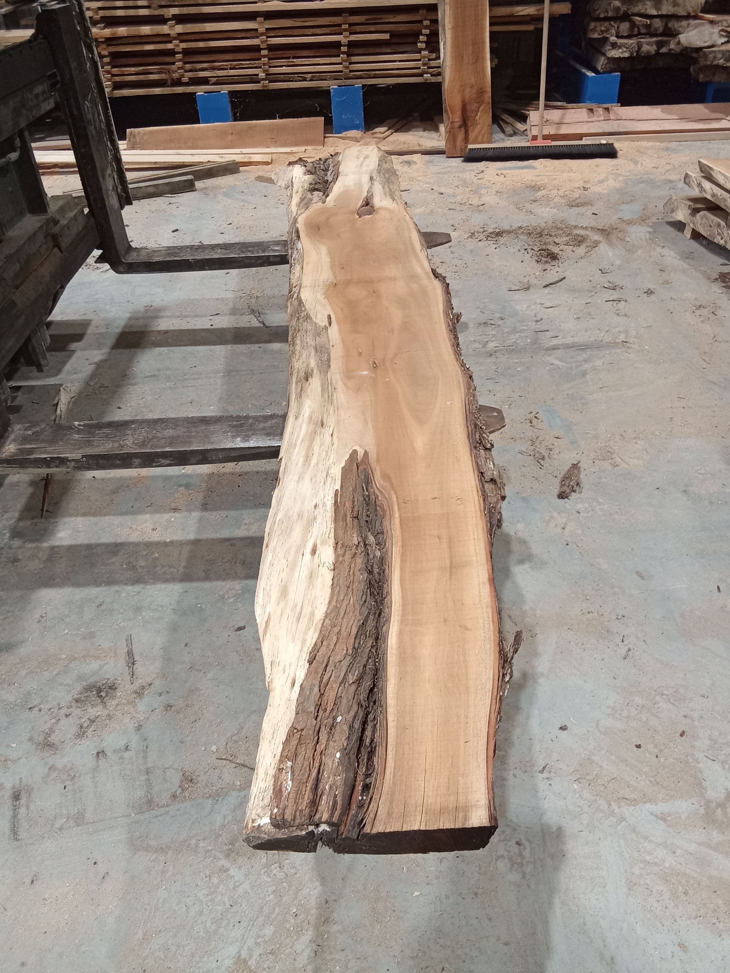 Blackwood Slab #7 view 2