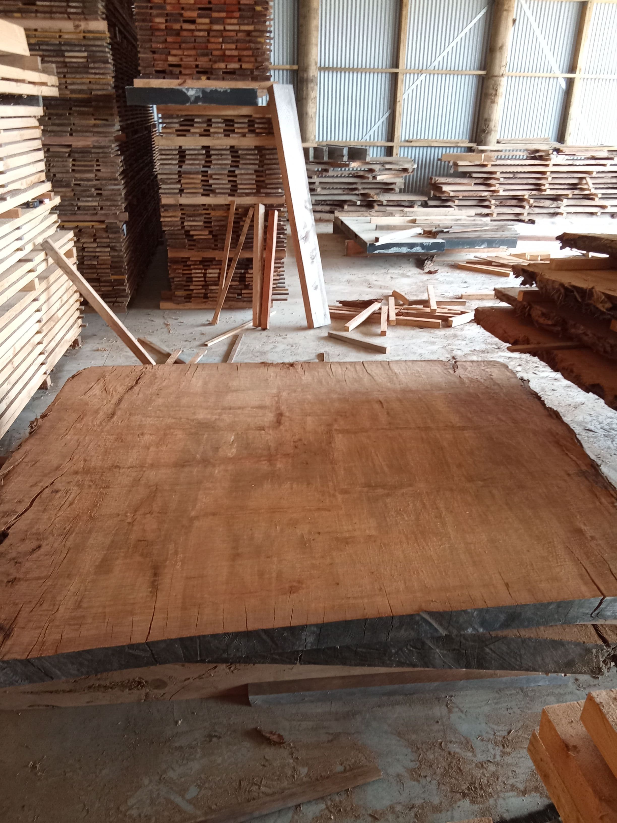 Kauri Slab #18