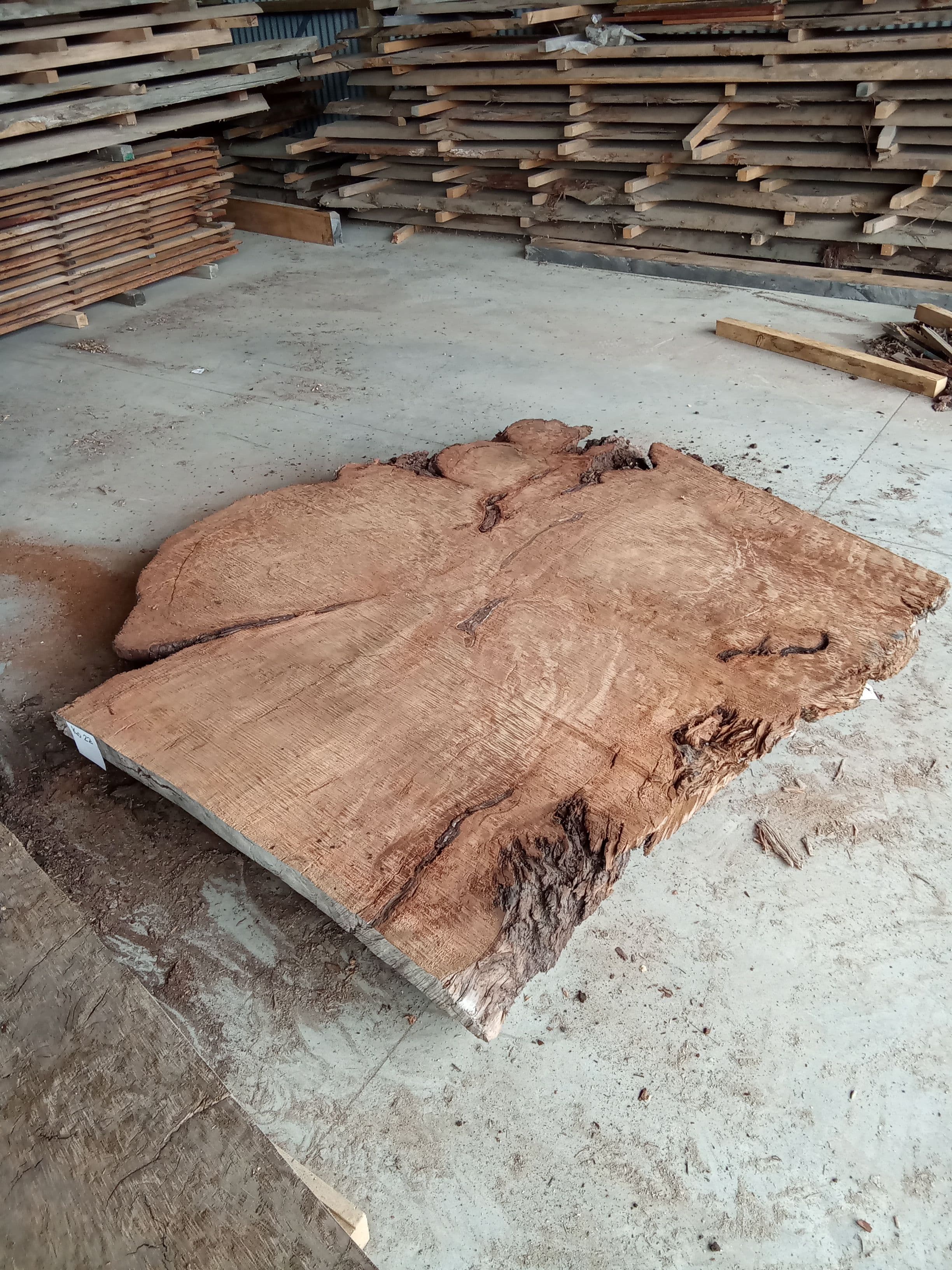 Kauri Slab #22 view 1
