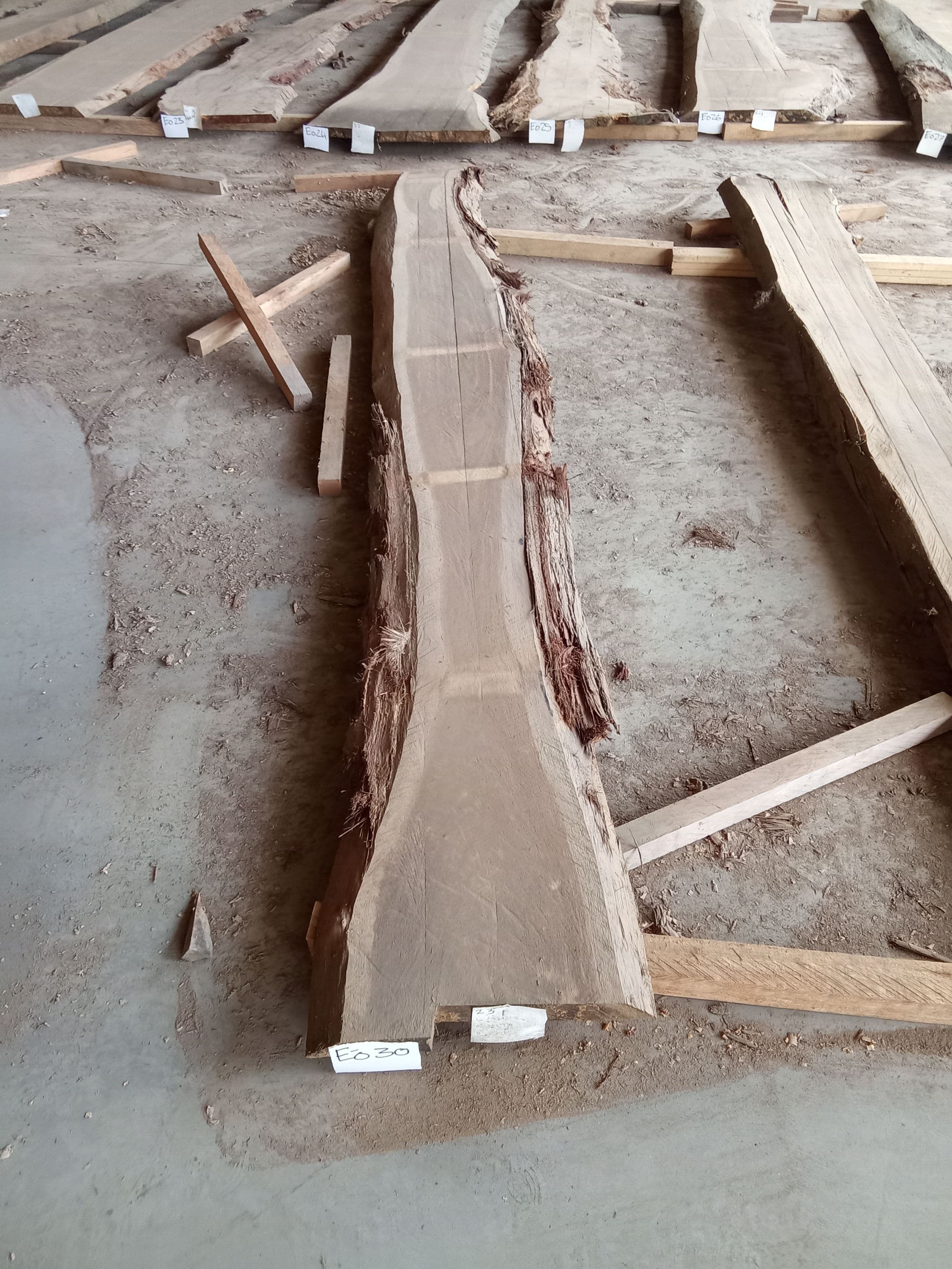 Blackbutt Eucalyptus Slab #30