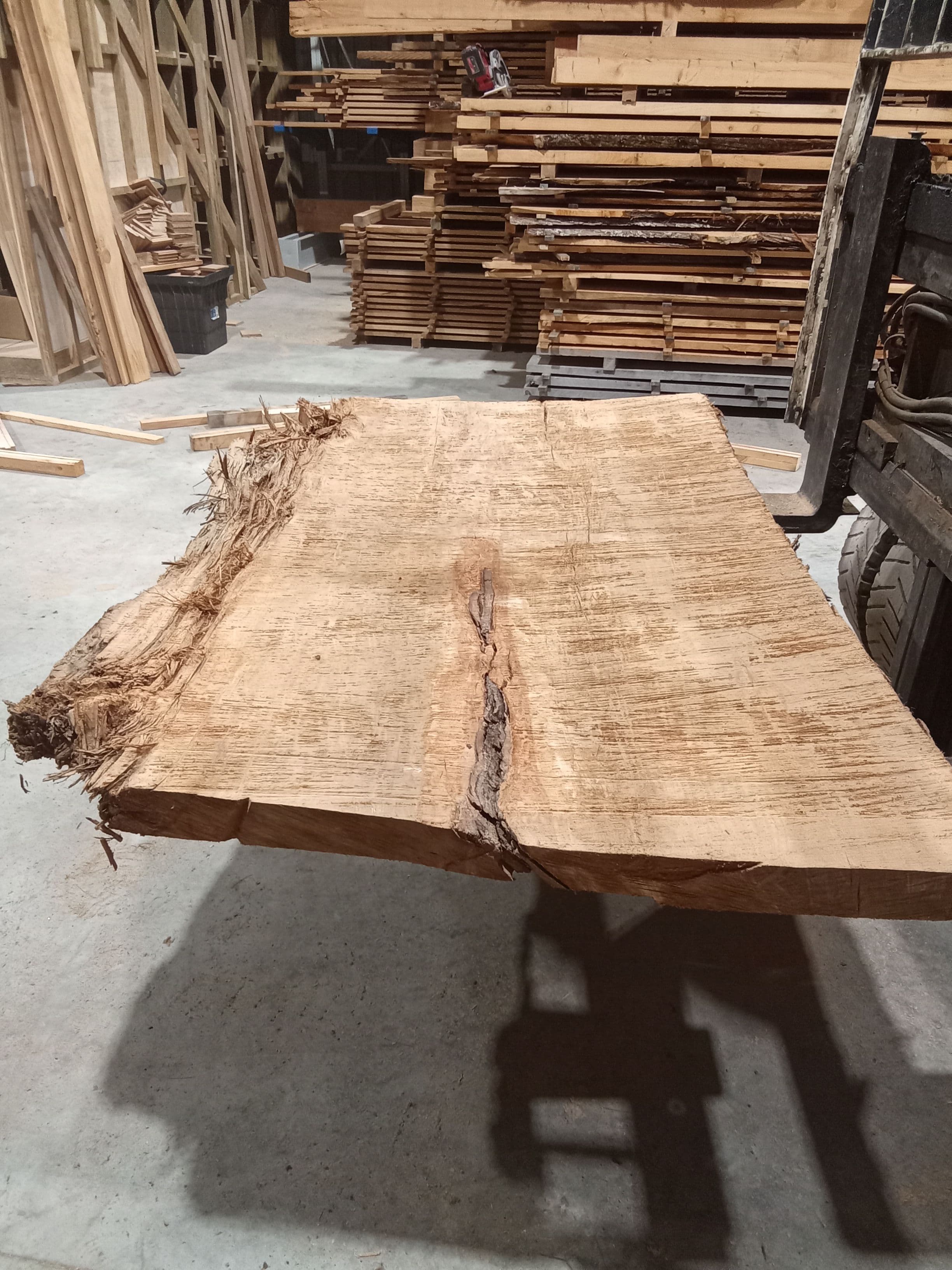 Kauri Slab #25