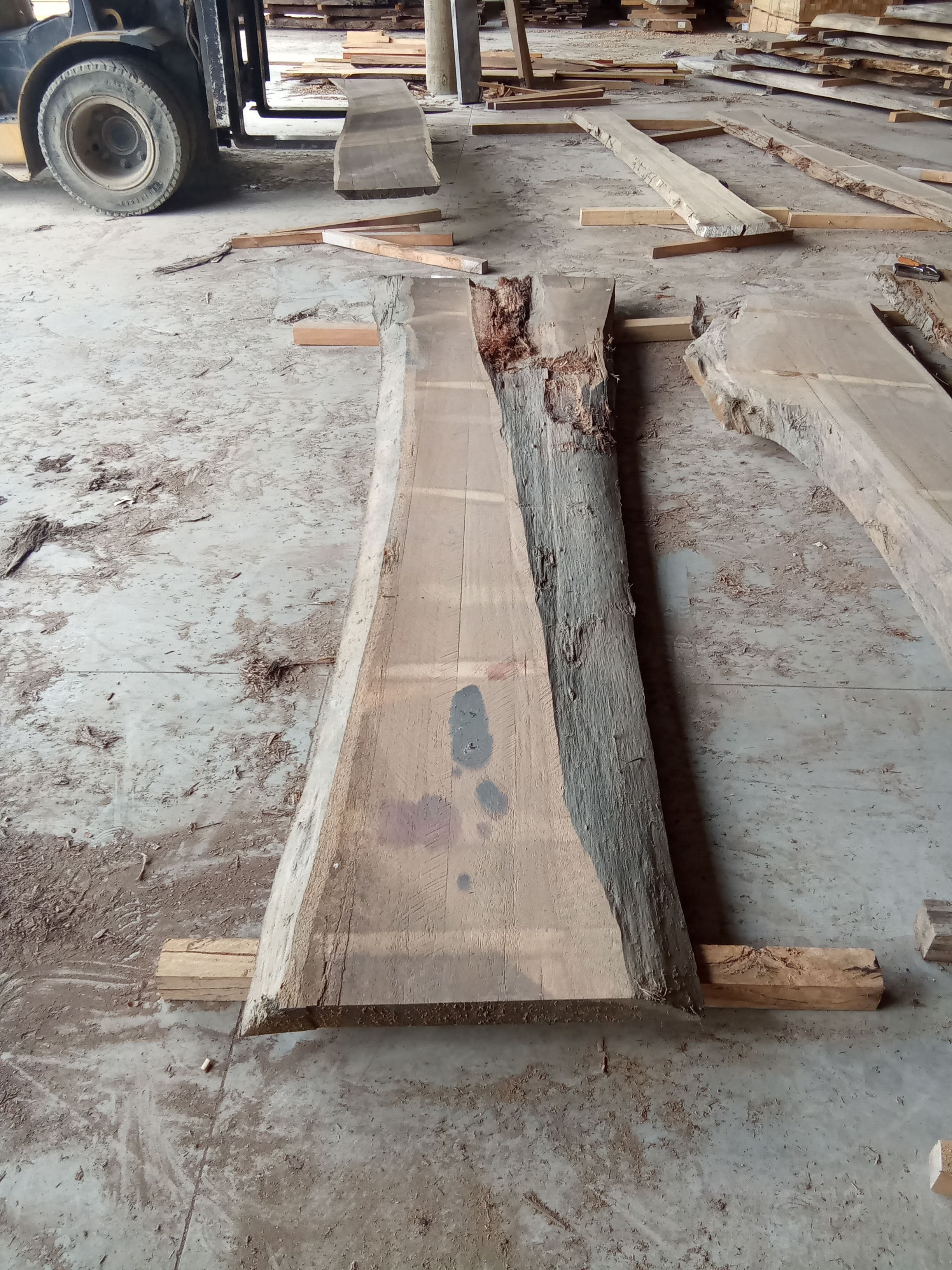 Blackbutt Eucalyptus Slab #27 view 2
