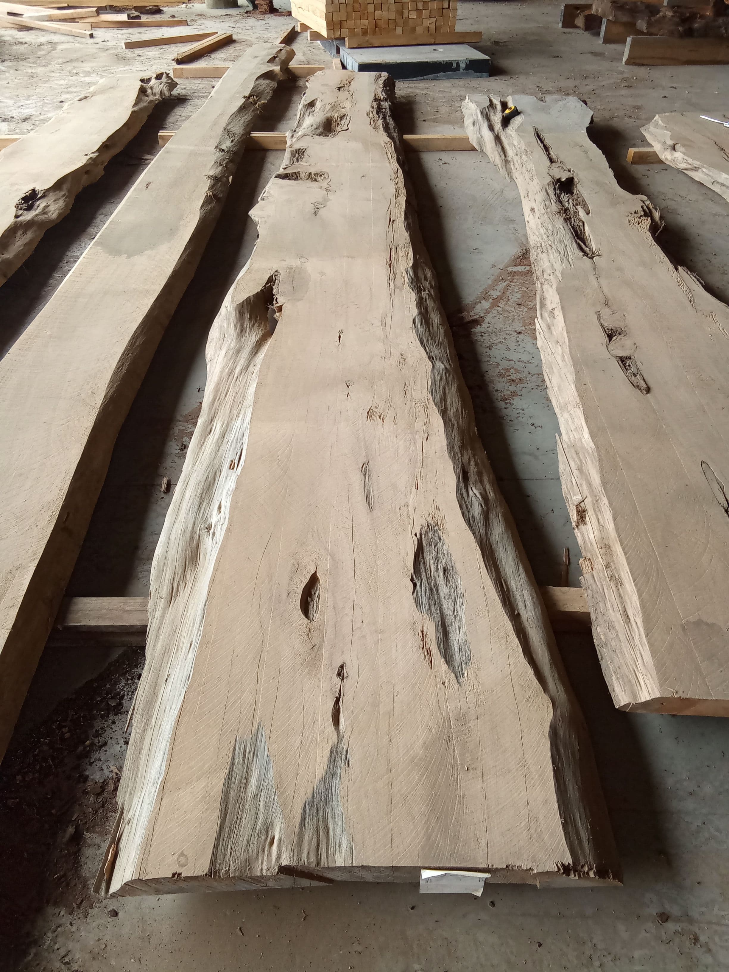 Macrocarpa Slab #28 view 2