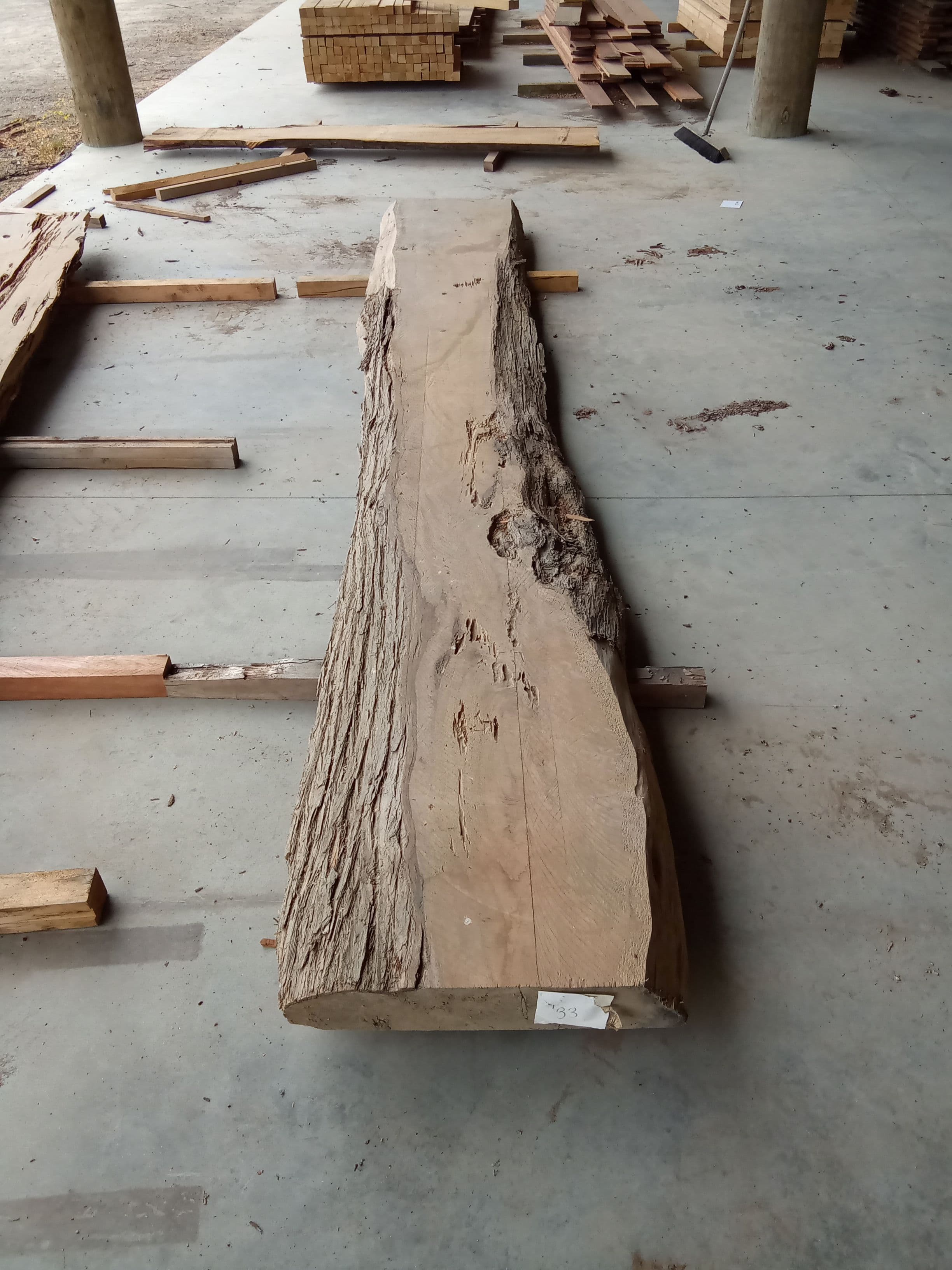 Macrocarpa Slab #24 view 2