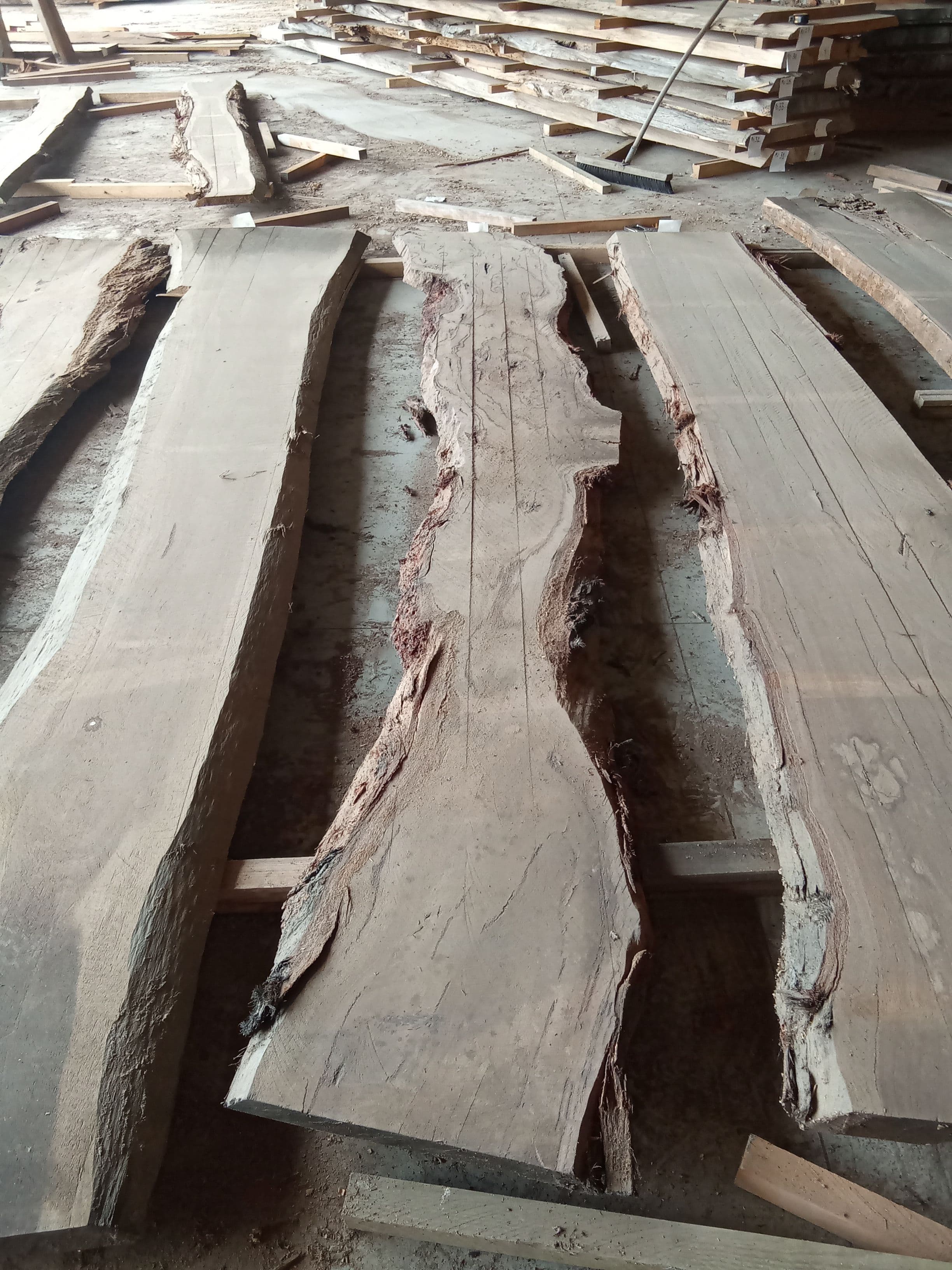 Blackbutt Eucalyptus Slab #23 view 2