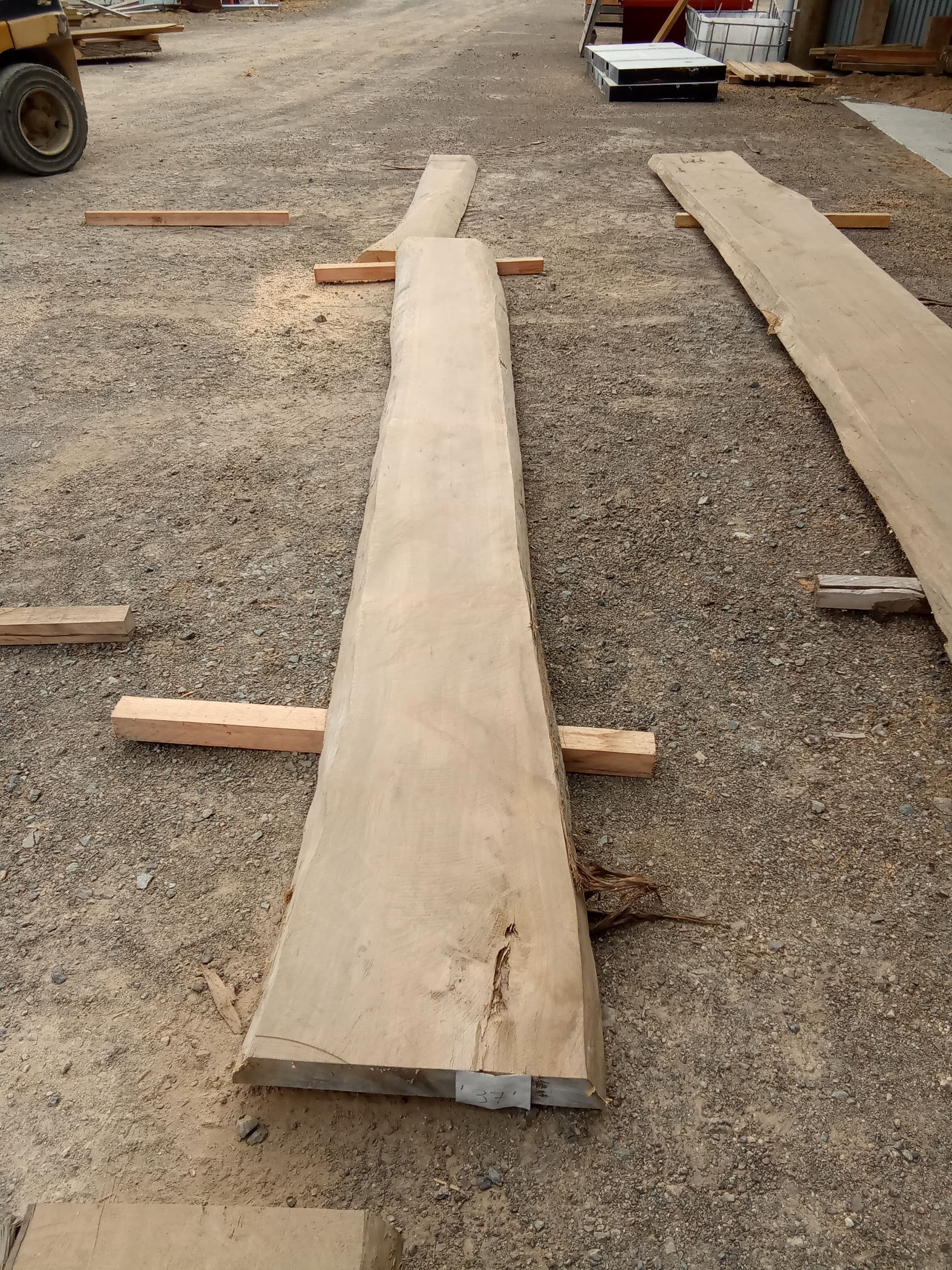 Macrocarpa Slab #4