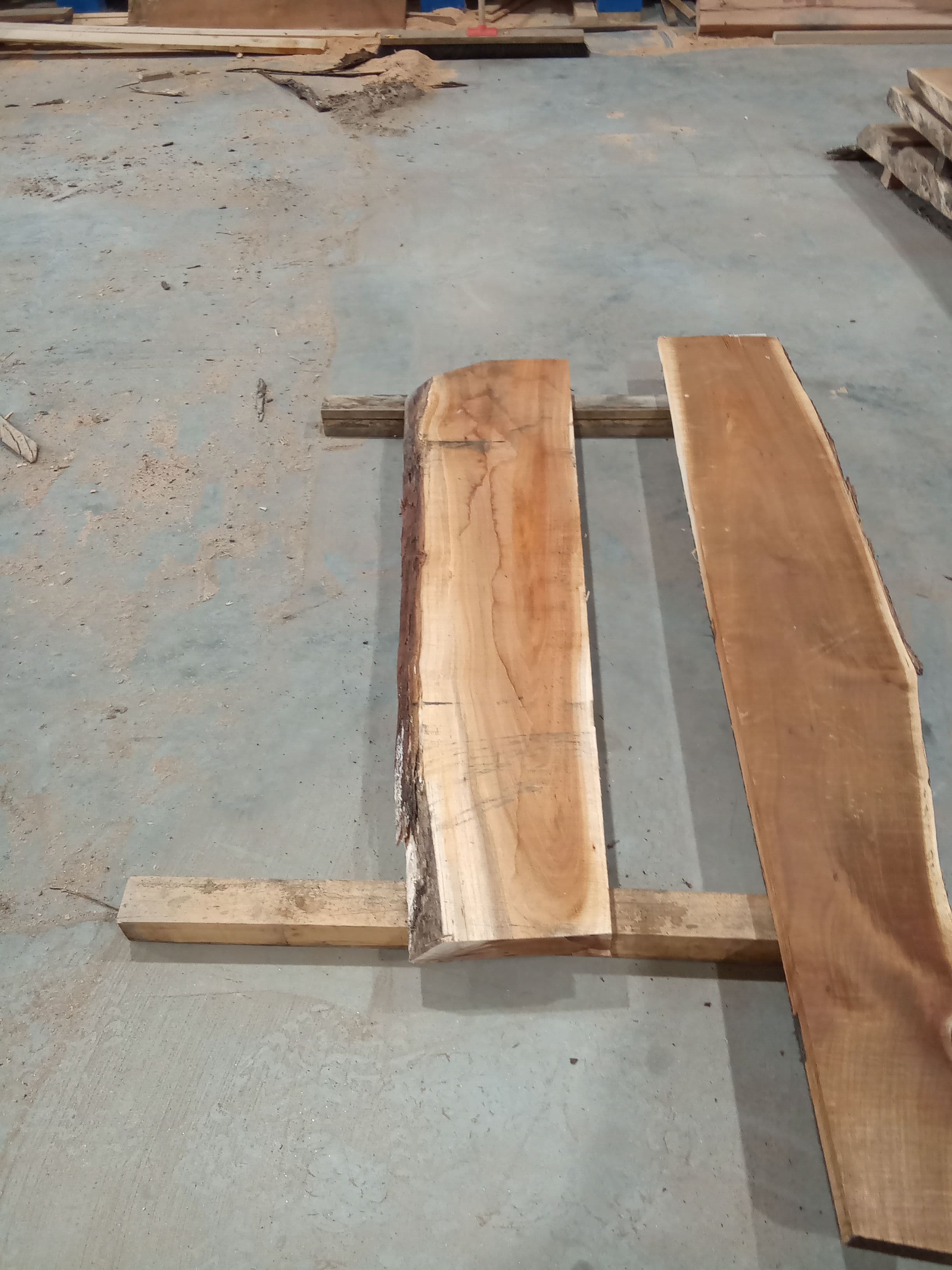 Blackwood Slab #10 view 2