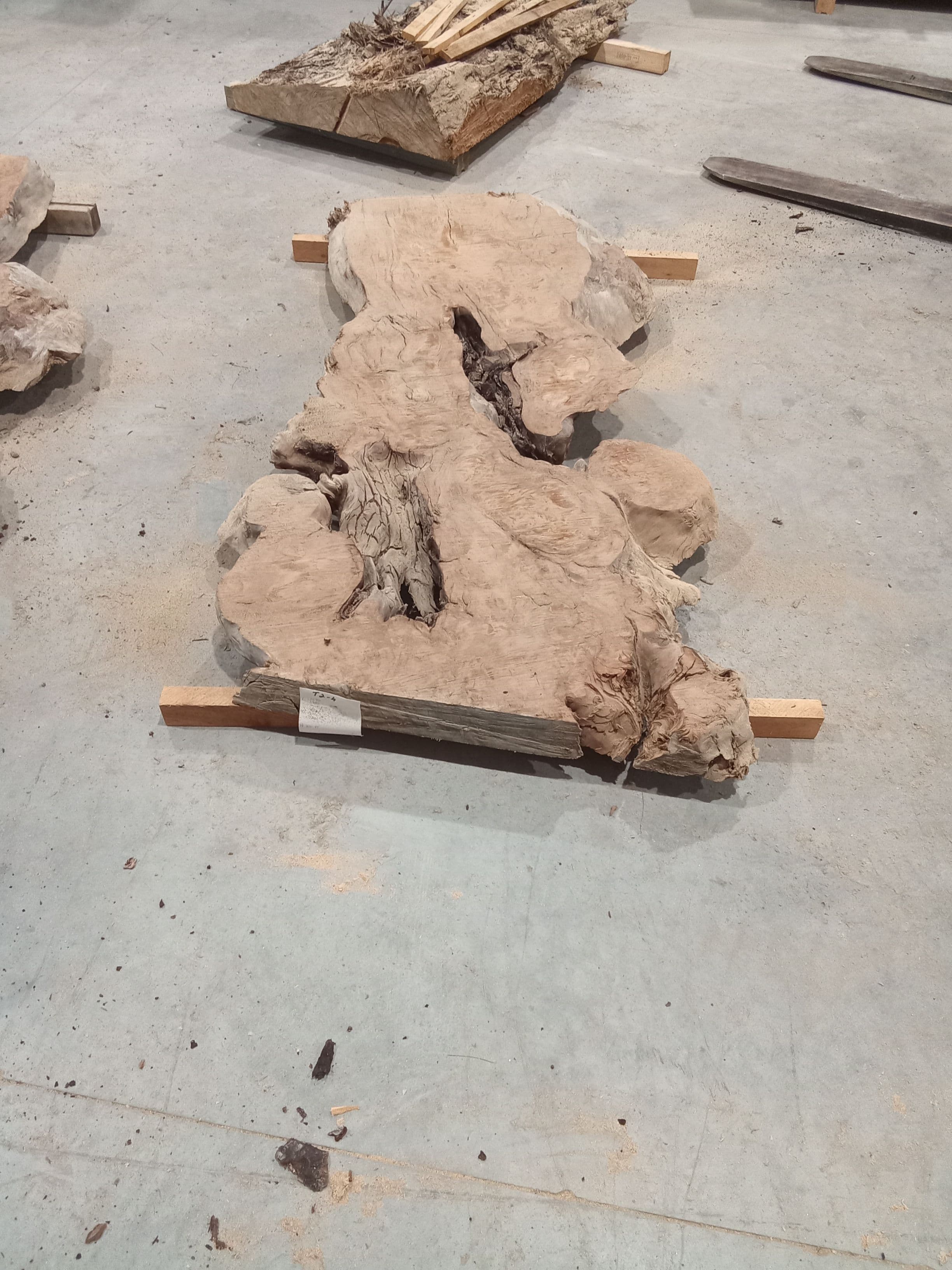 Kauri Slab #29