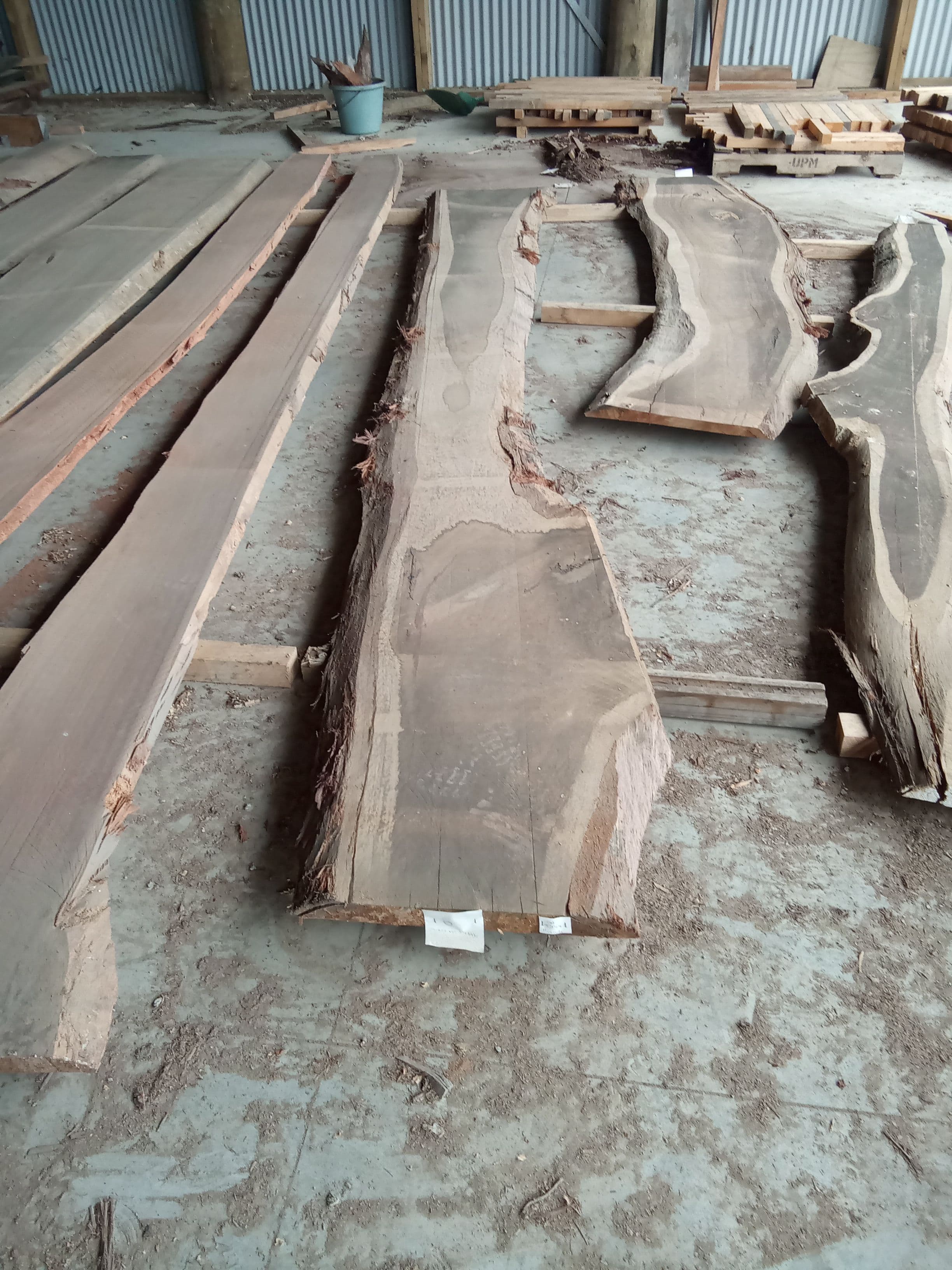 Blackbutt Eucalyptus Slab #17