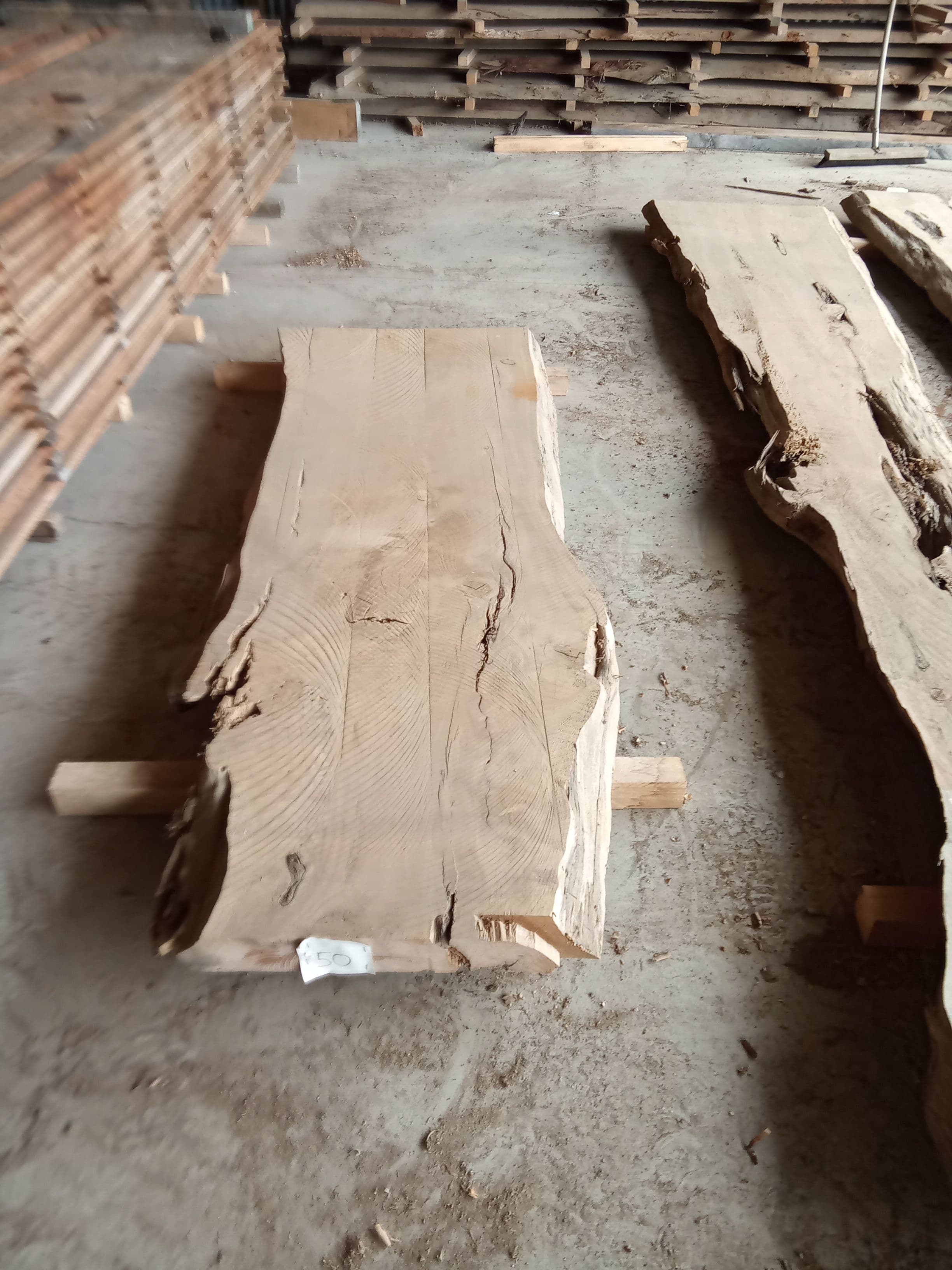 Macrocarpa Slab #26 view 2