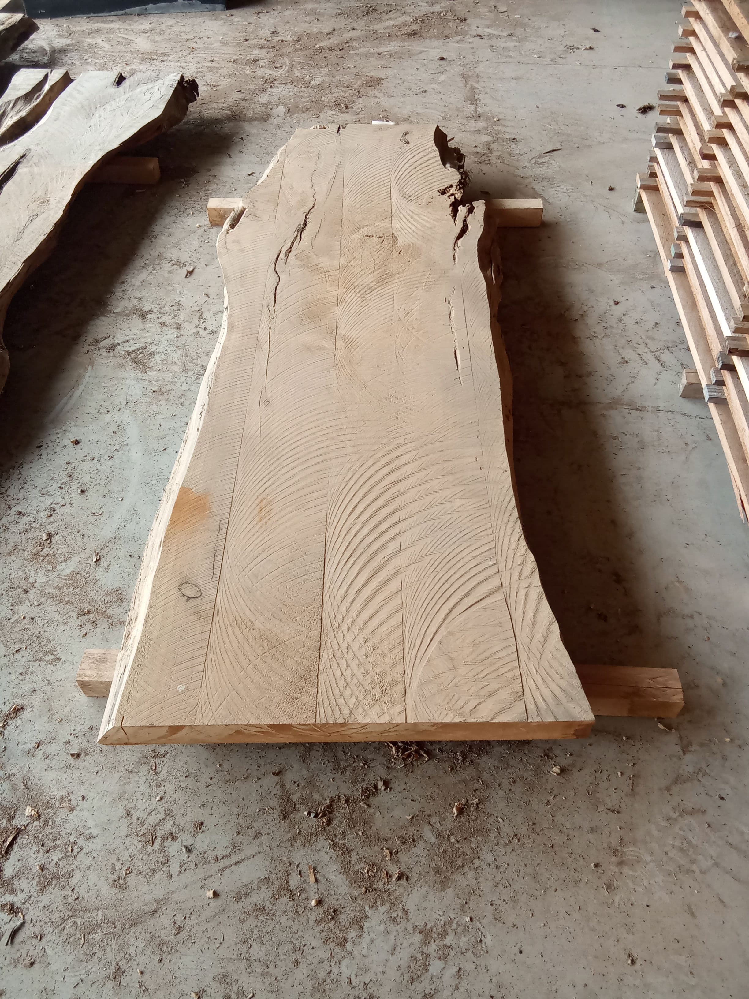 Macrocarpa Slab #26