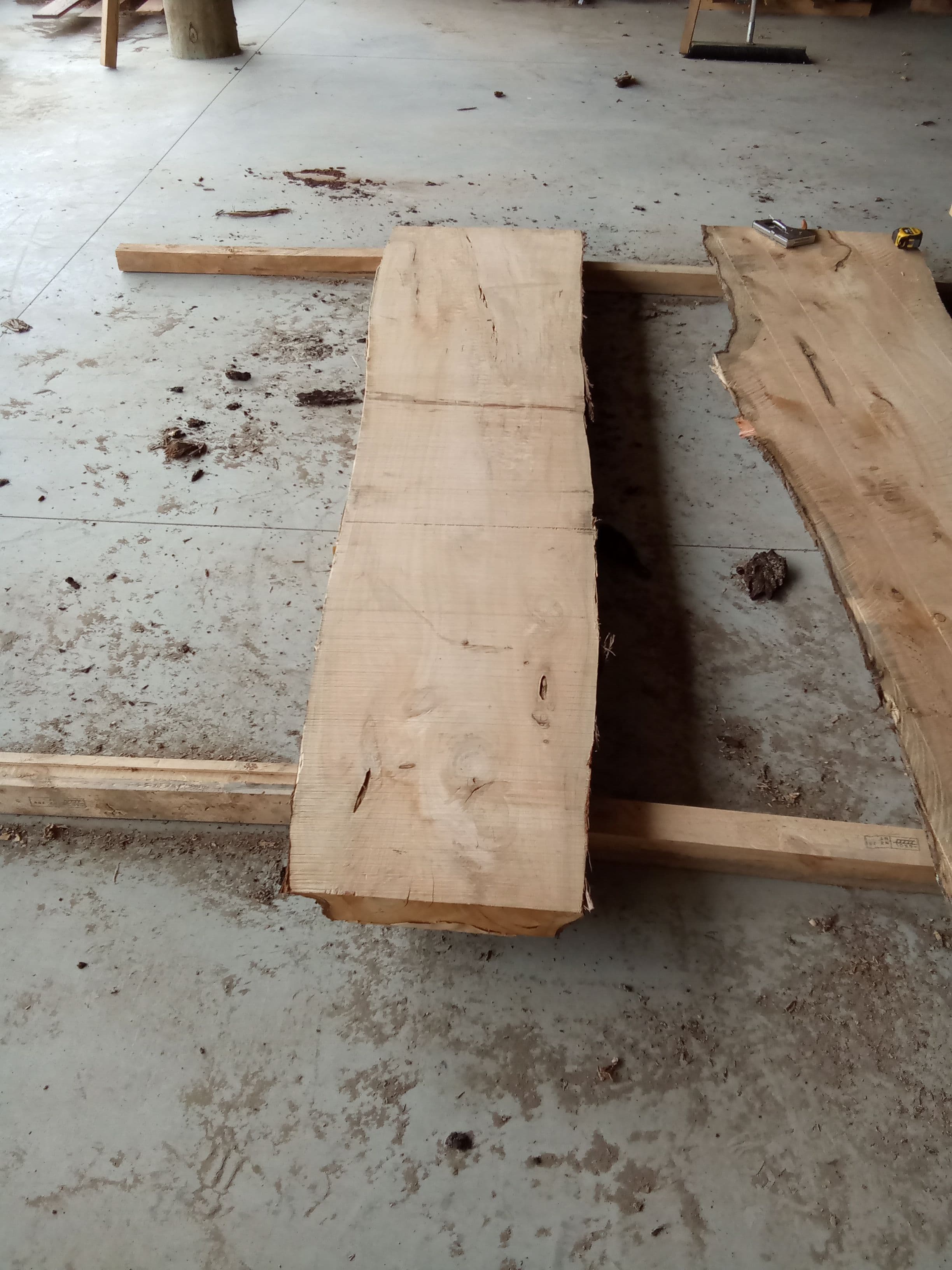 Macrocarpa Slab #22 view 2
