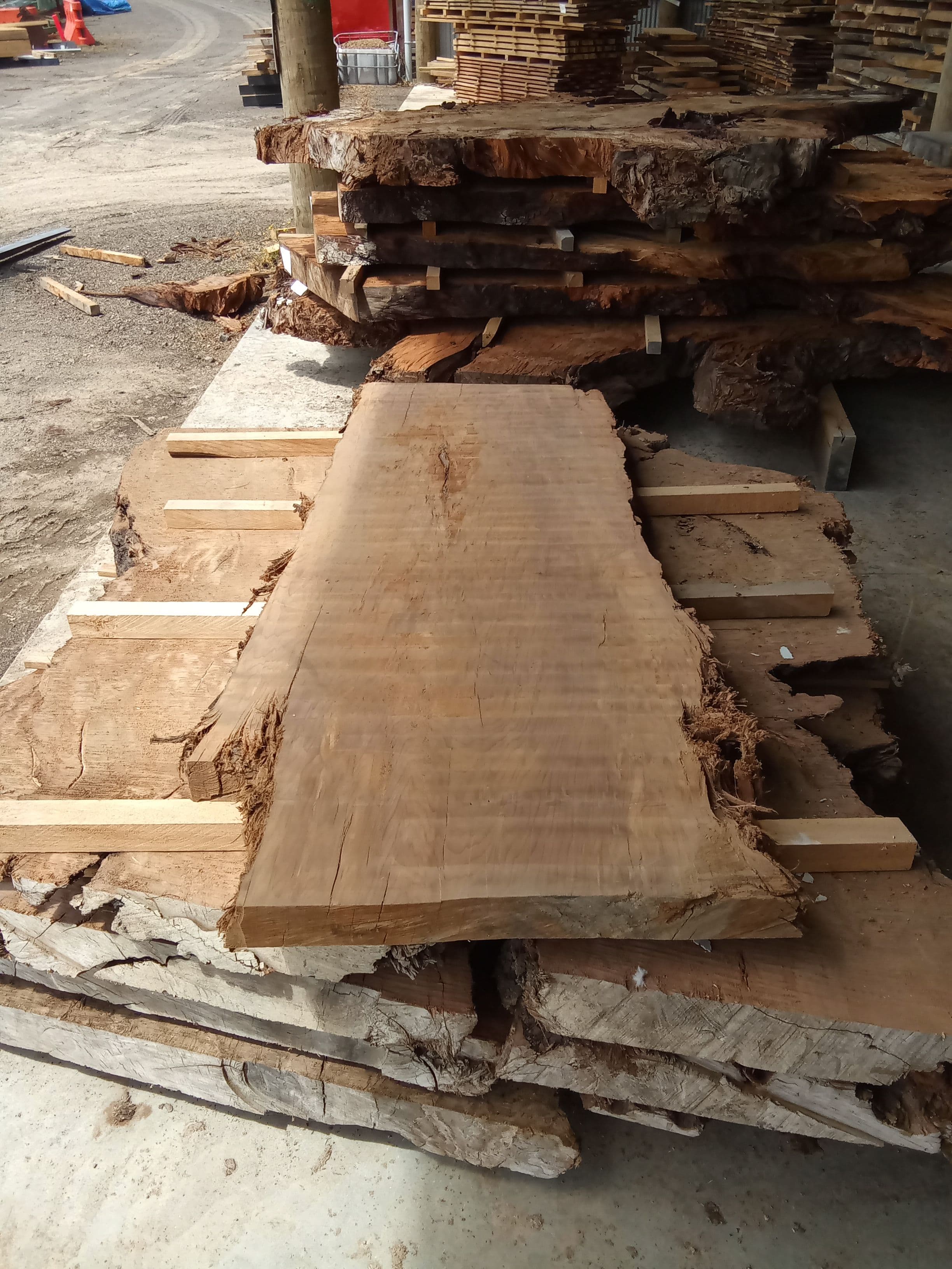 Kauri Slab #19