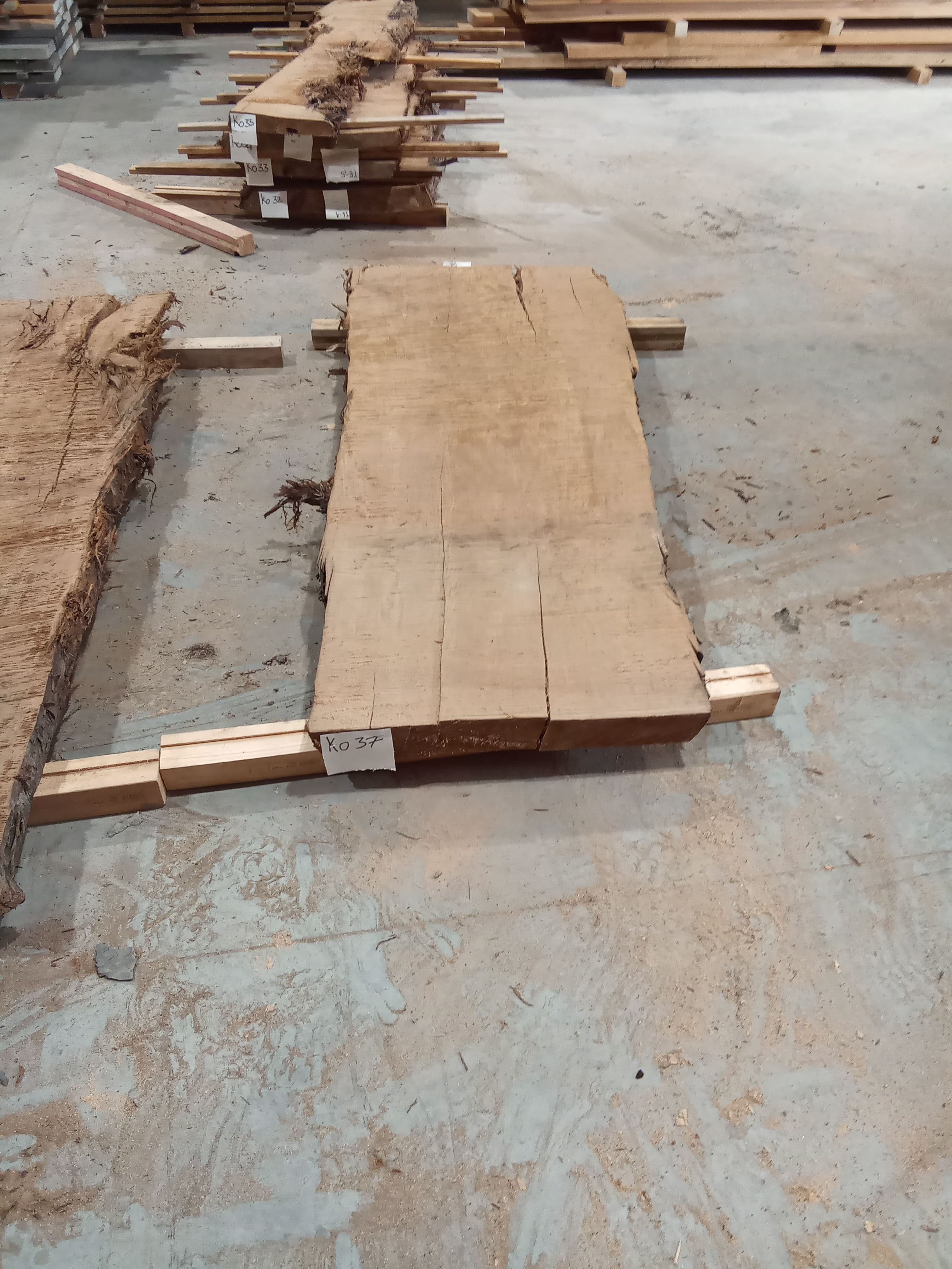 Kauri Slab #37