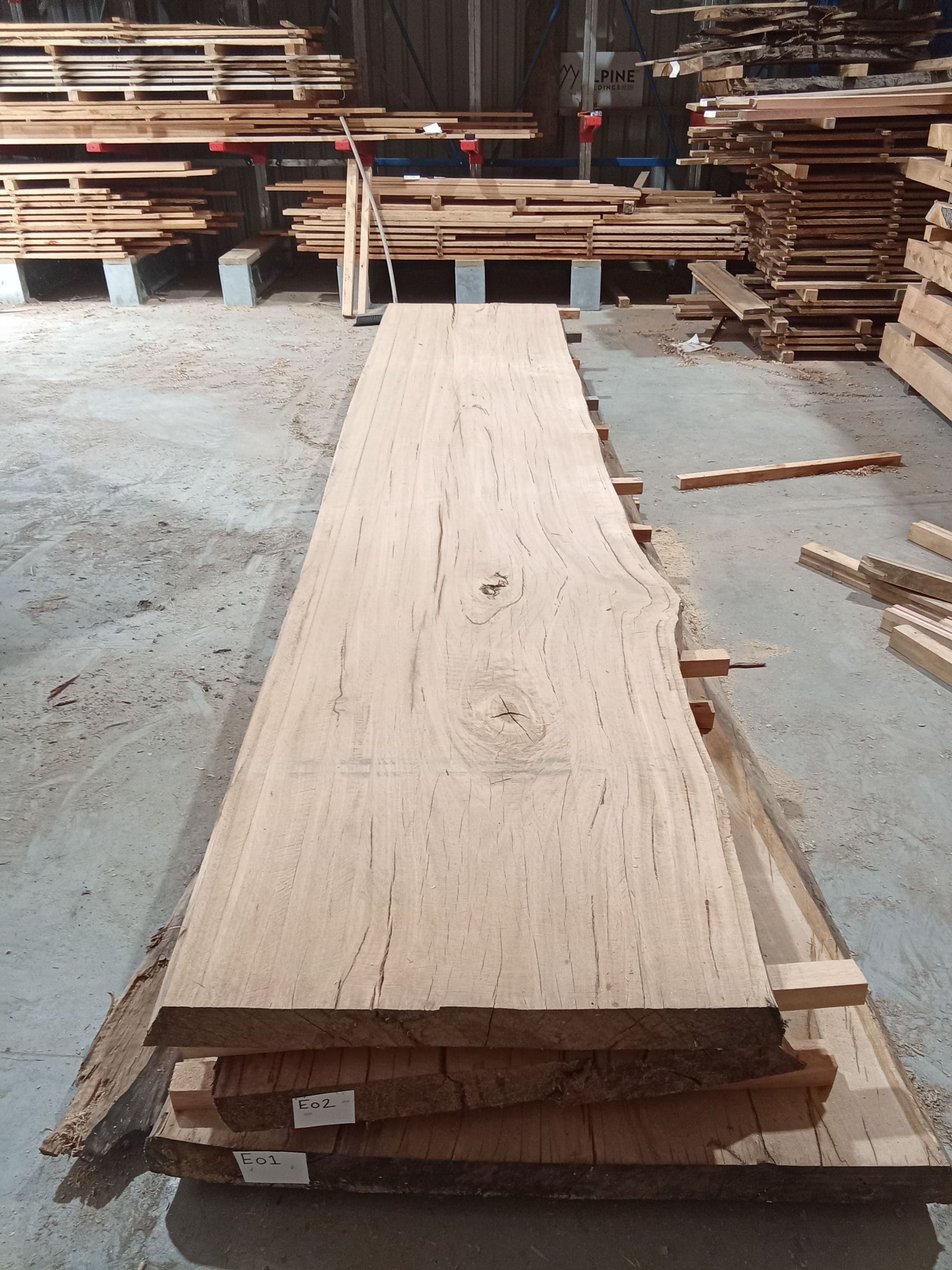 Blackbutt Eucalyptus Slab #3