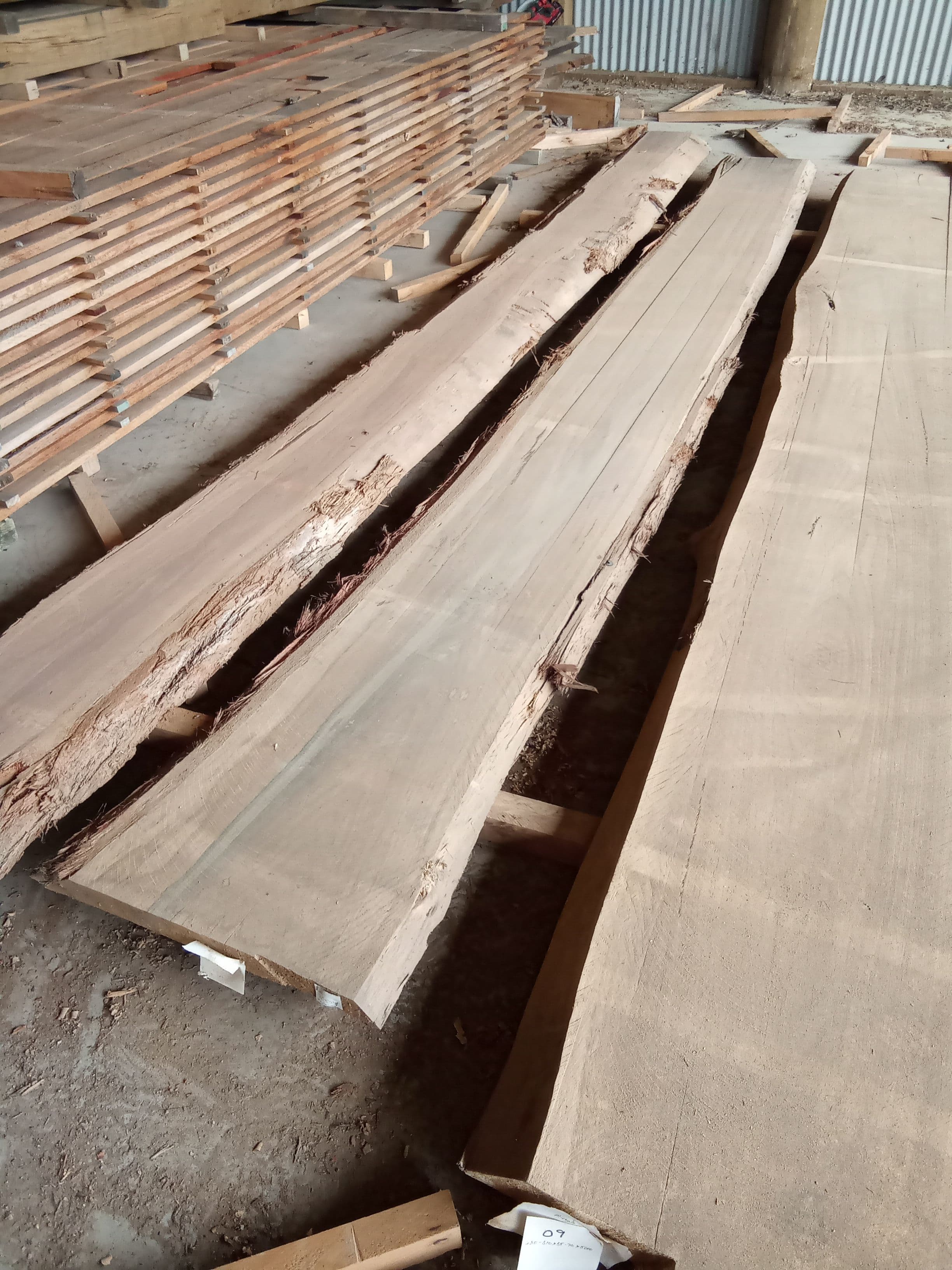 Blackbutt Eucalyptus Slab #13 view 1