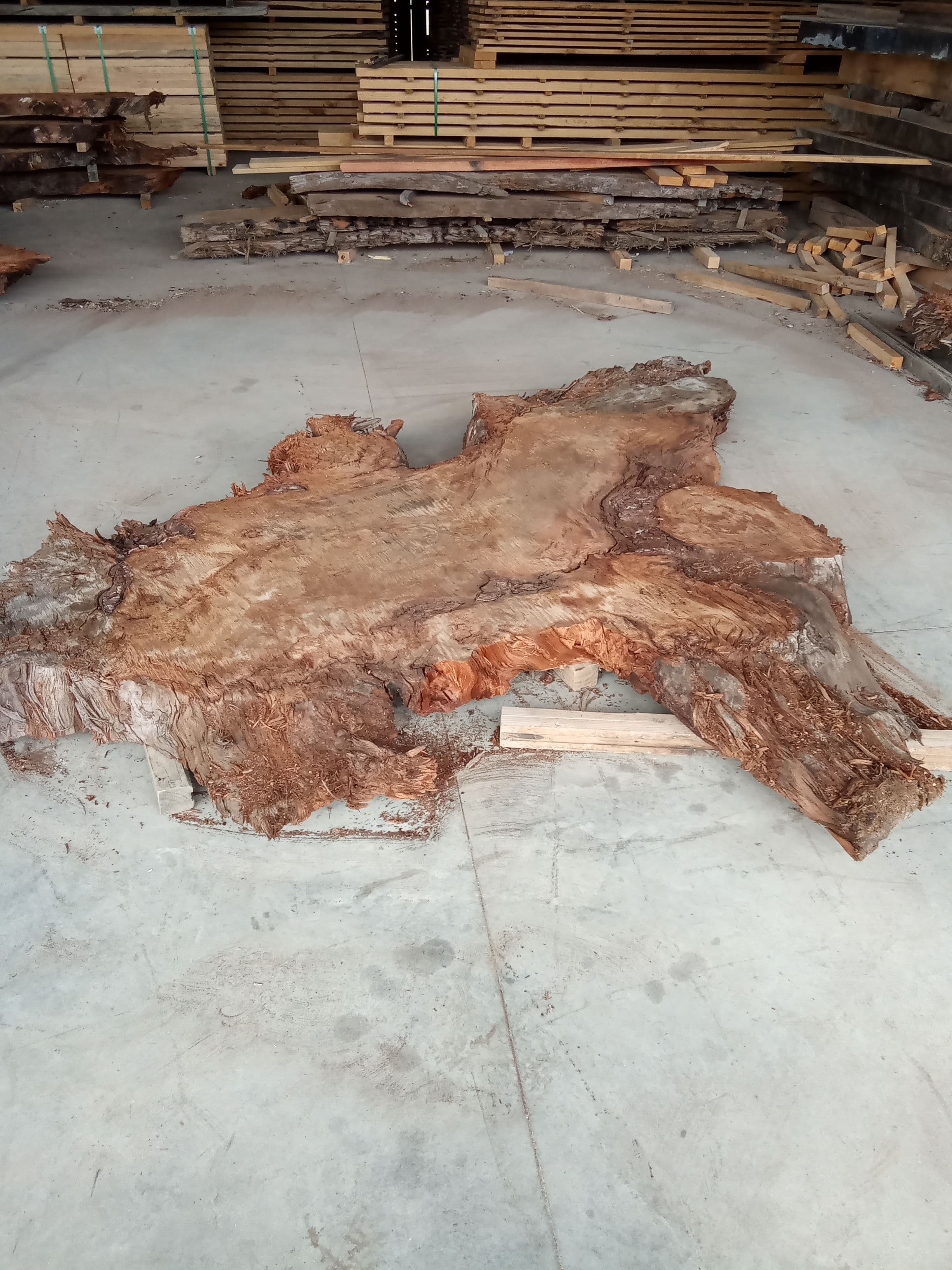 Kauri Slab #8 view 1