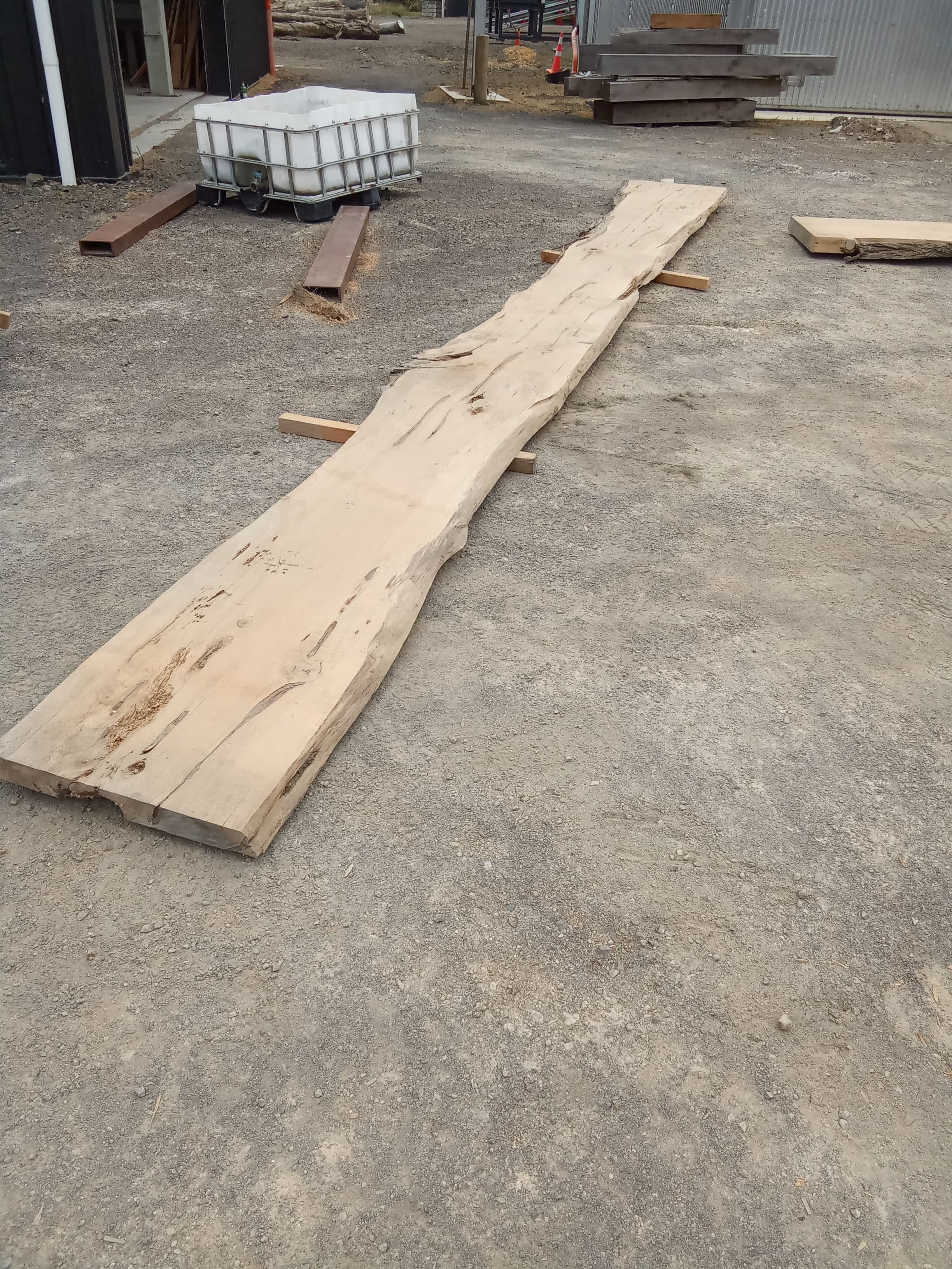 Macrocarpa Slab #10 view 1