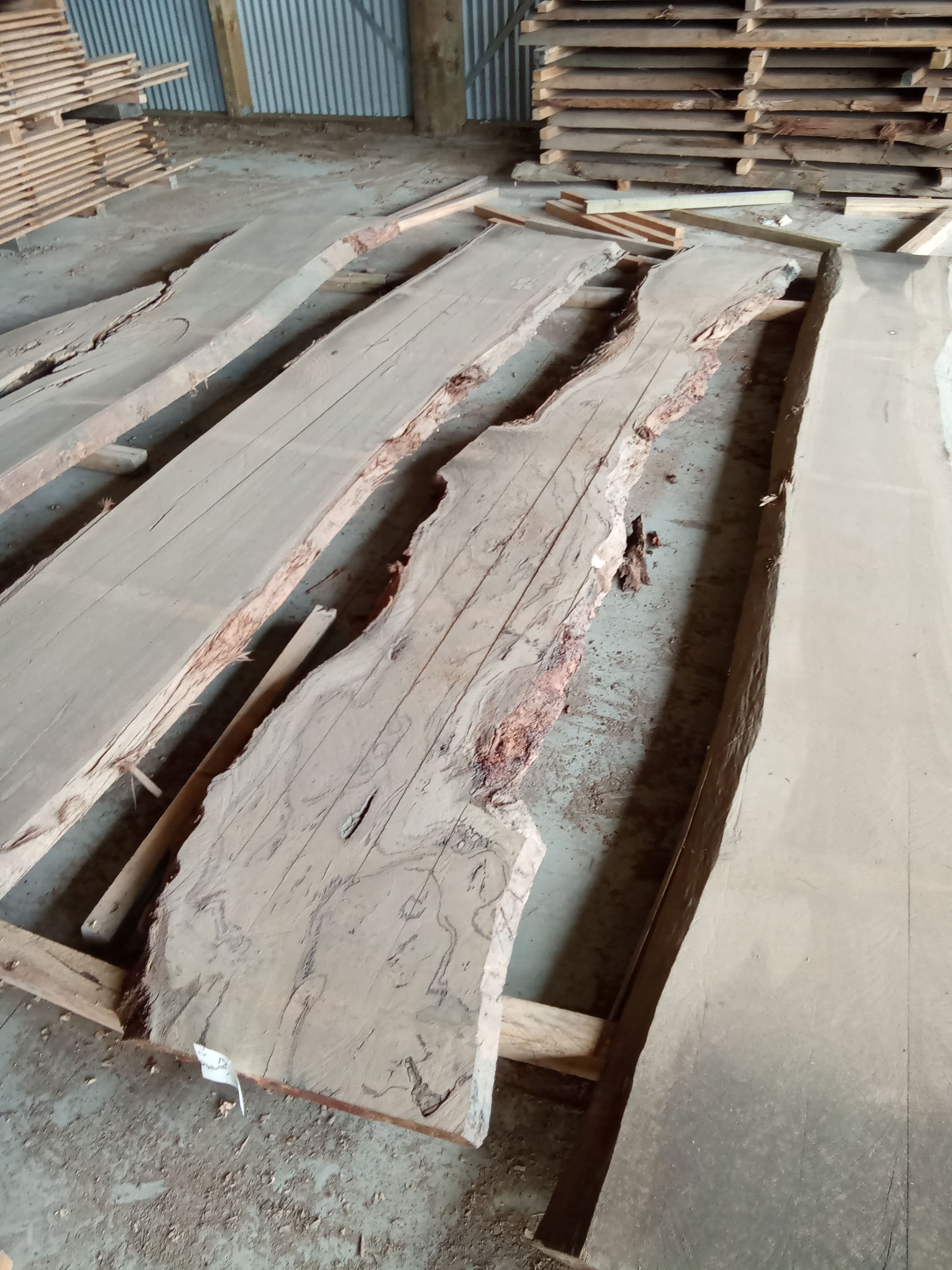 Blackbutt Eucalyptus Slab #23 view 1
