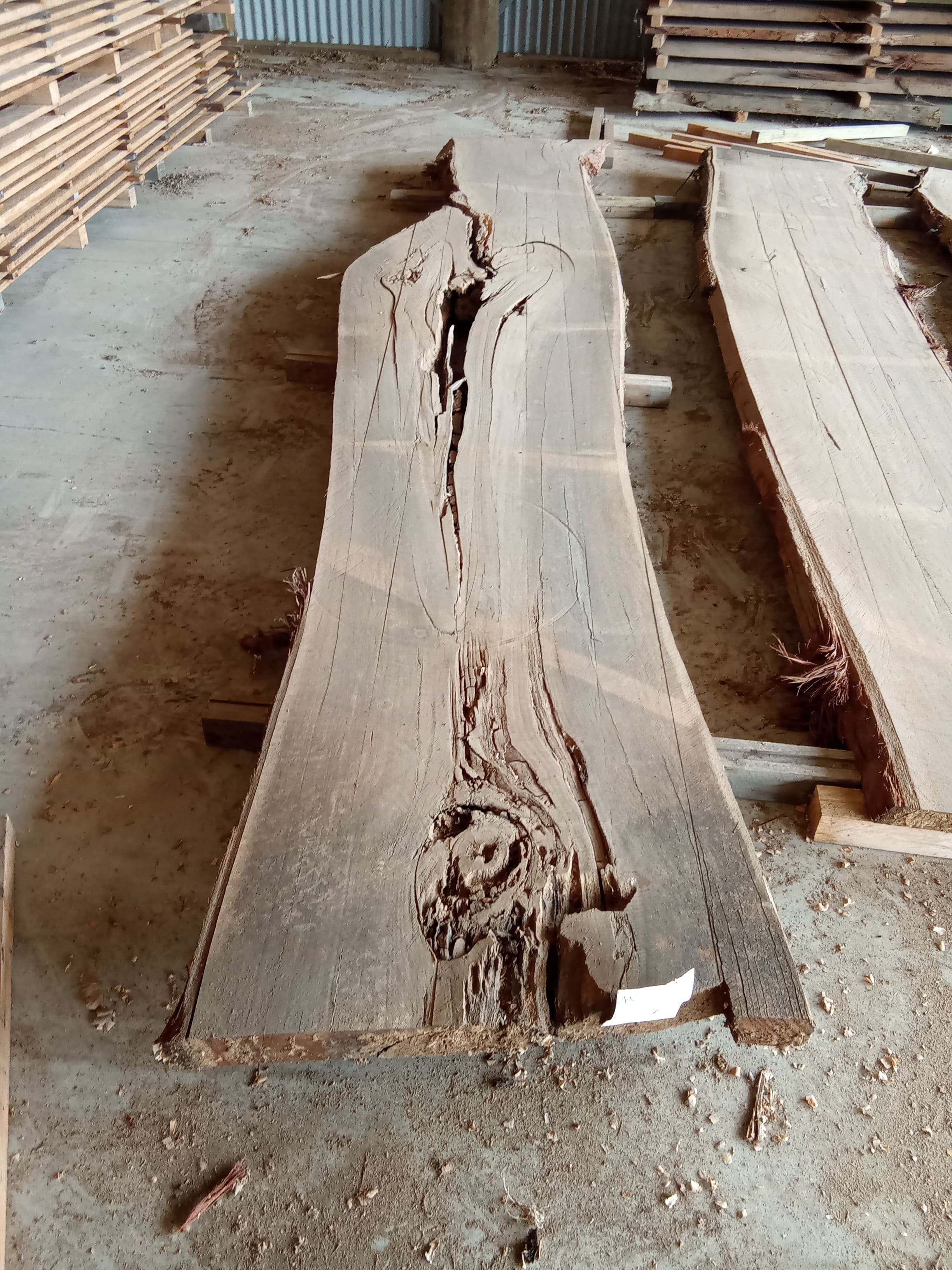 Blackbutt Eucalyptus Slab #21