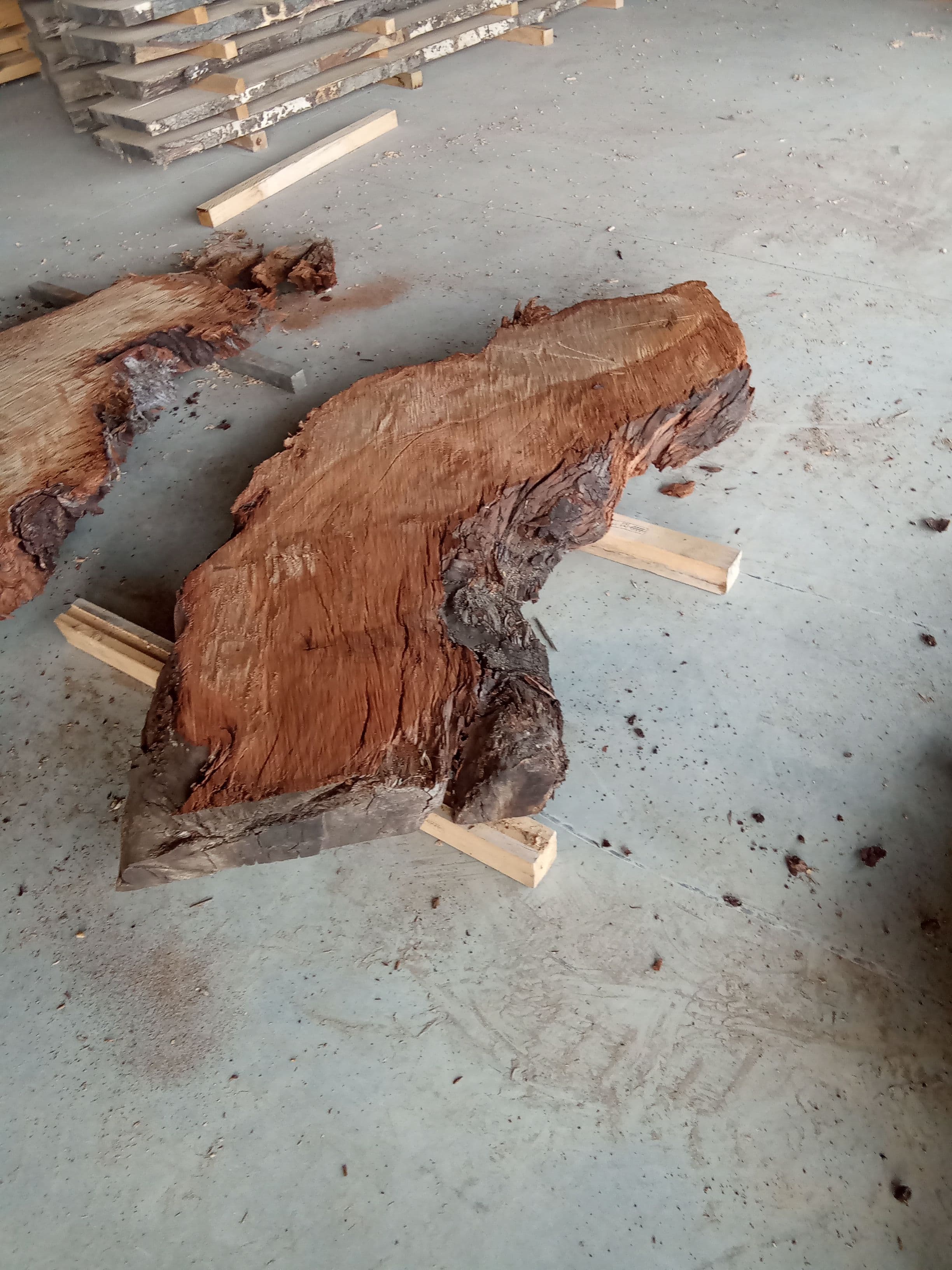 Kauri Slab #1 view 1