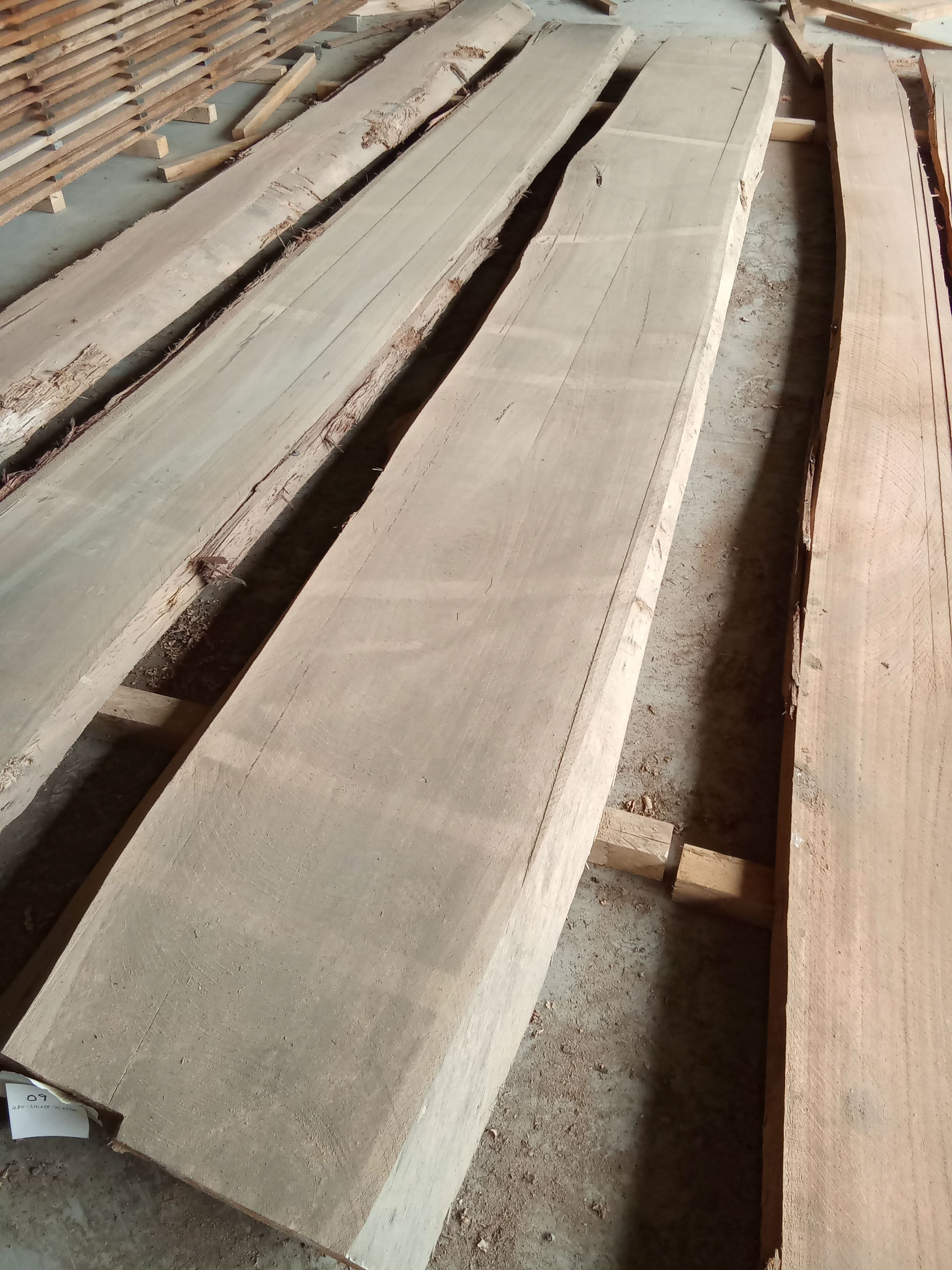 Blackbutt Eucalyptus Slab #14 view 1