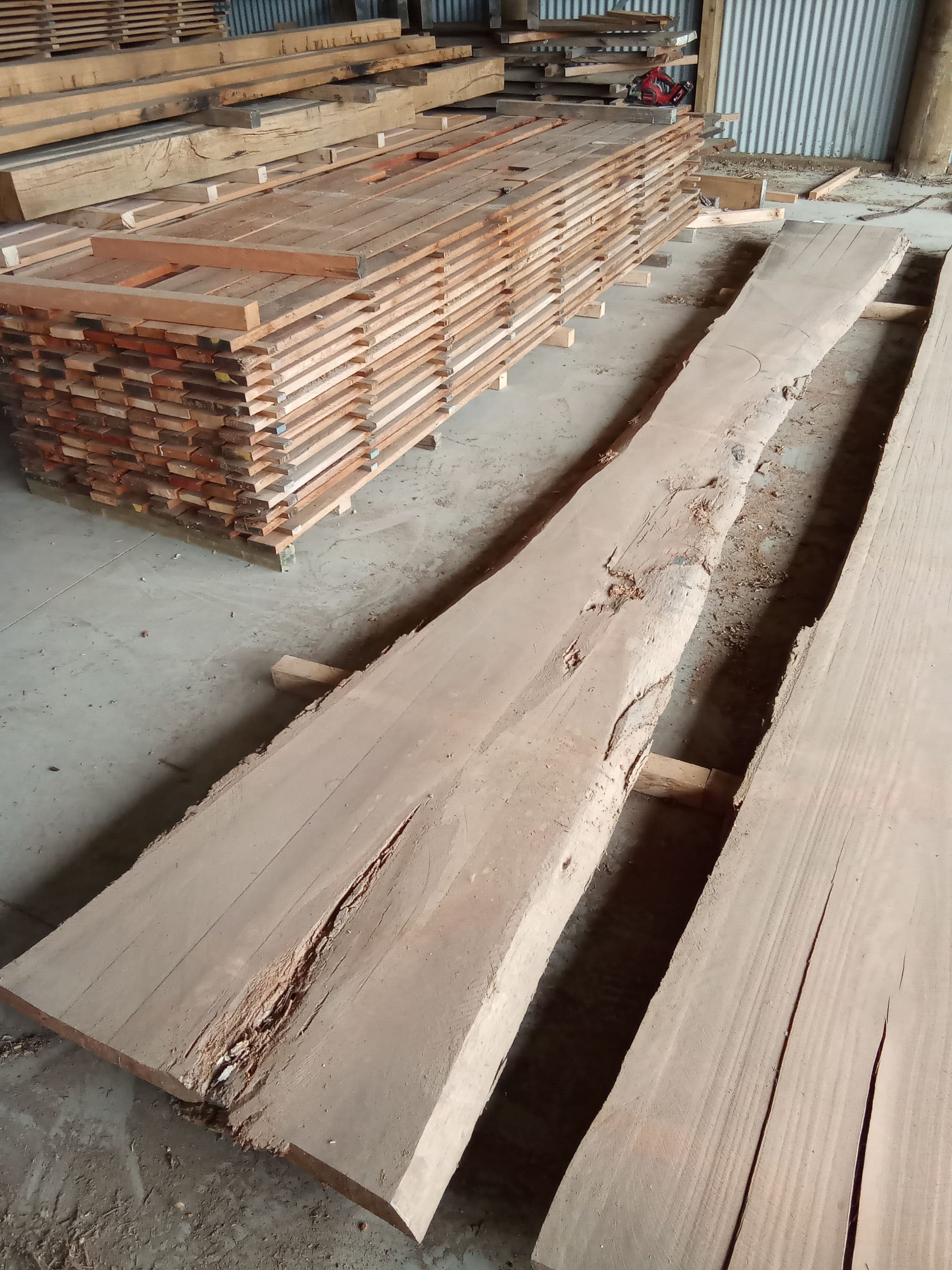 Saligna Eucalyptus Slab #6 view 1