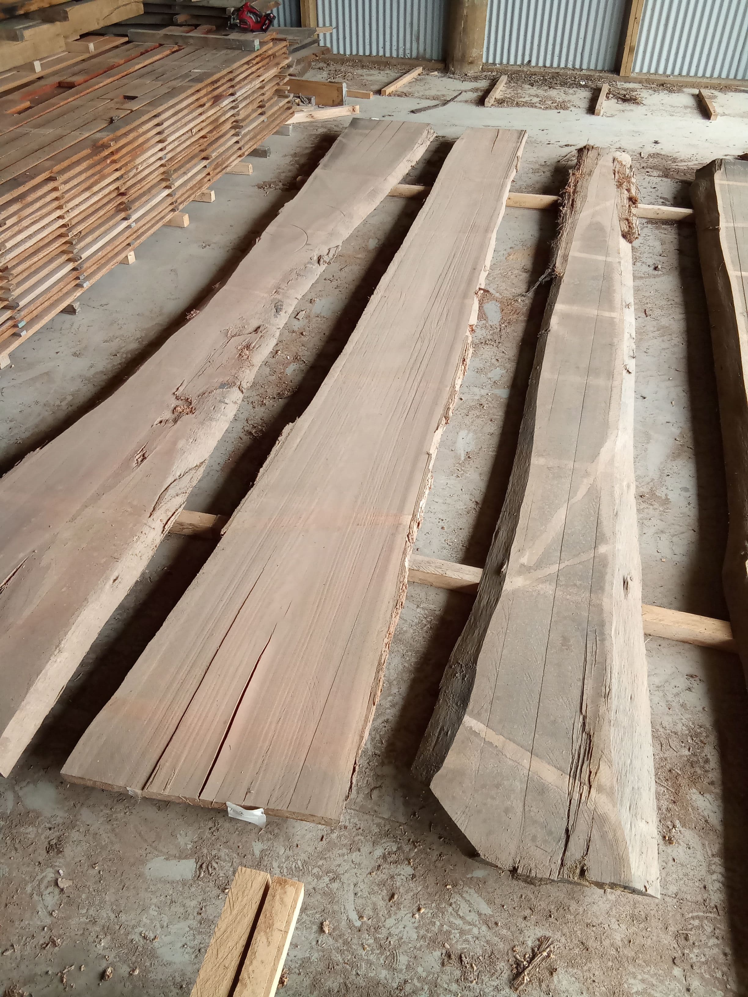 Saligna Eucalyptus Slab #7 view 1