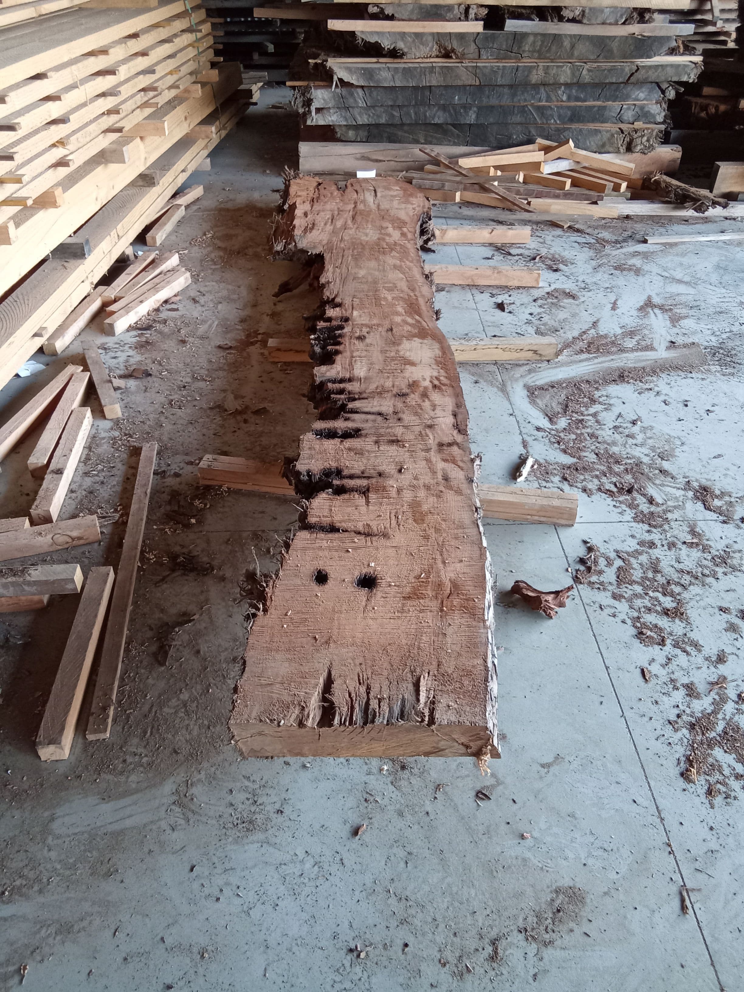 Kauri Slab #13