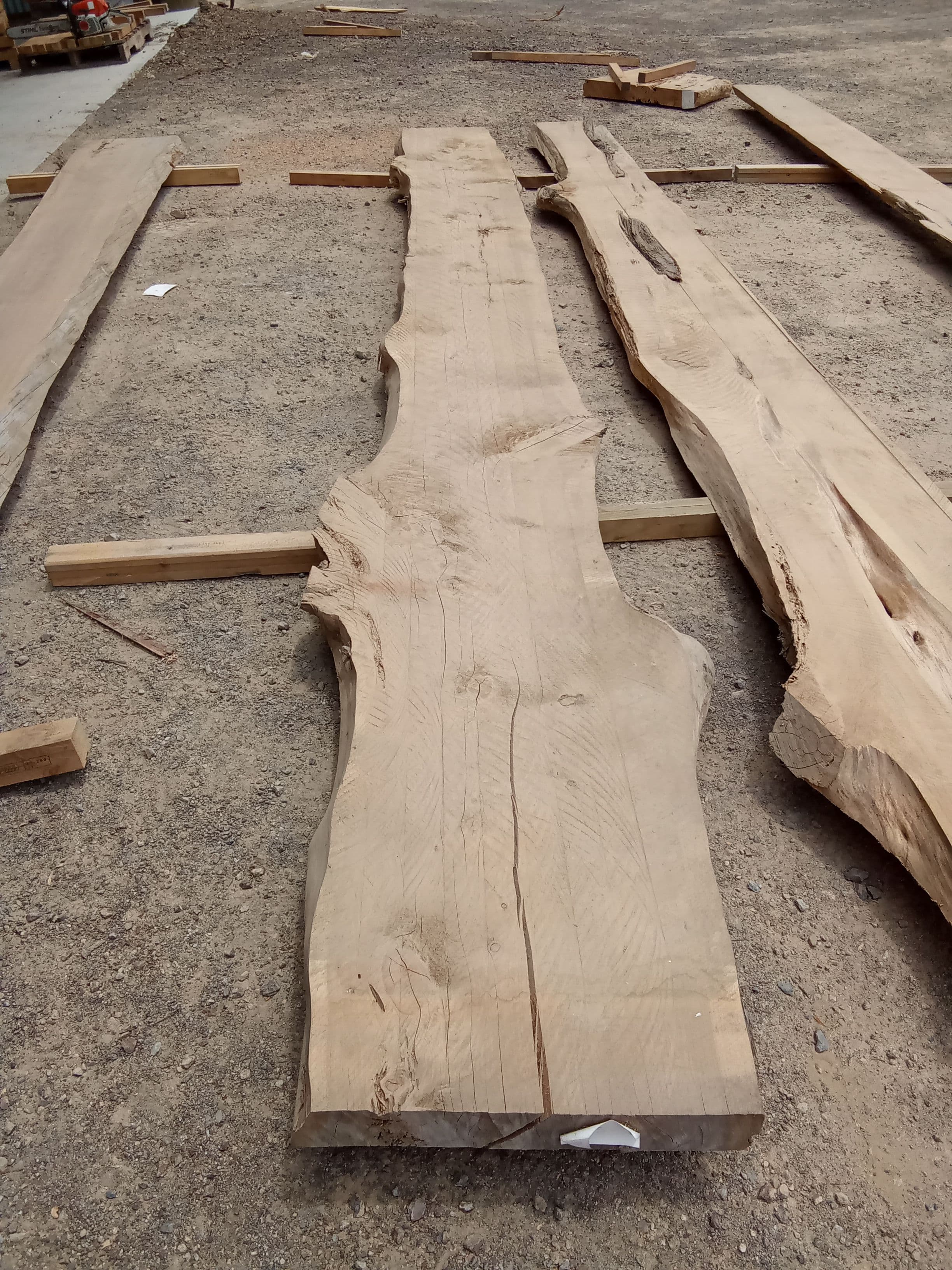 Macrocarpa Slab #17