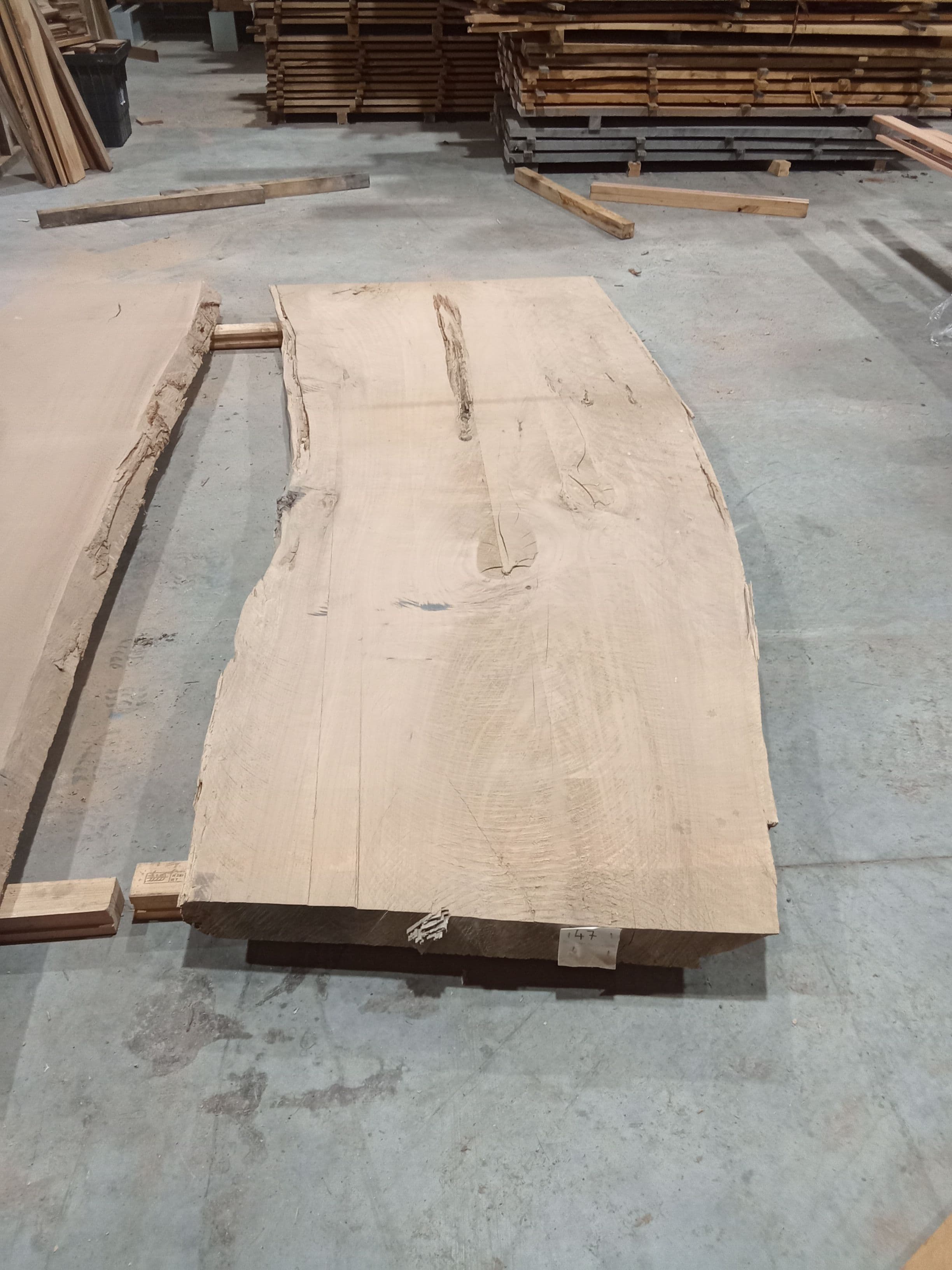 Macrocarpa Slab #39