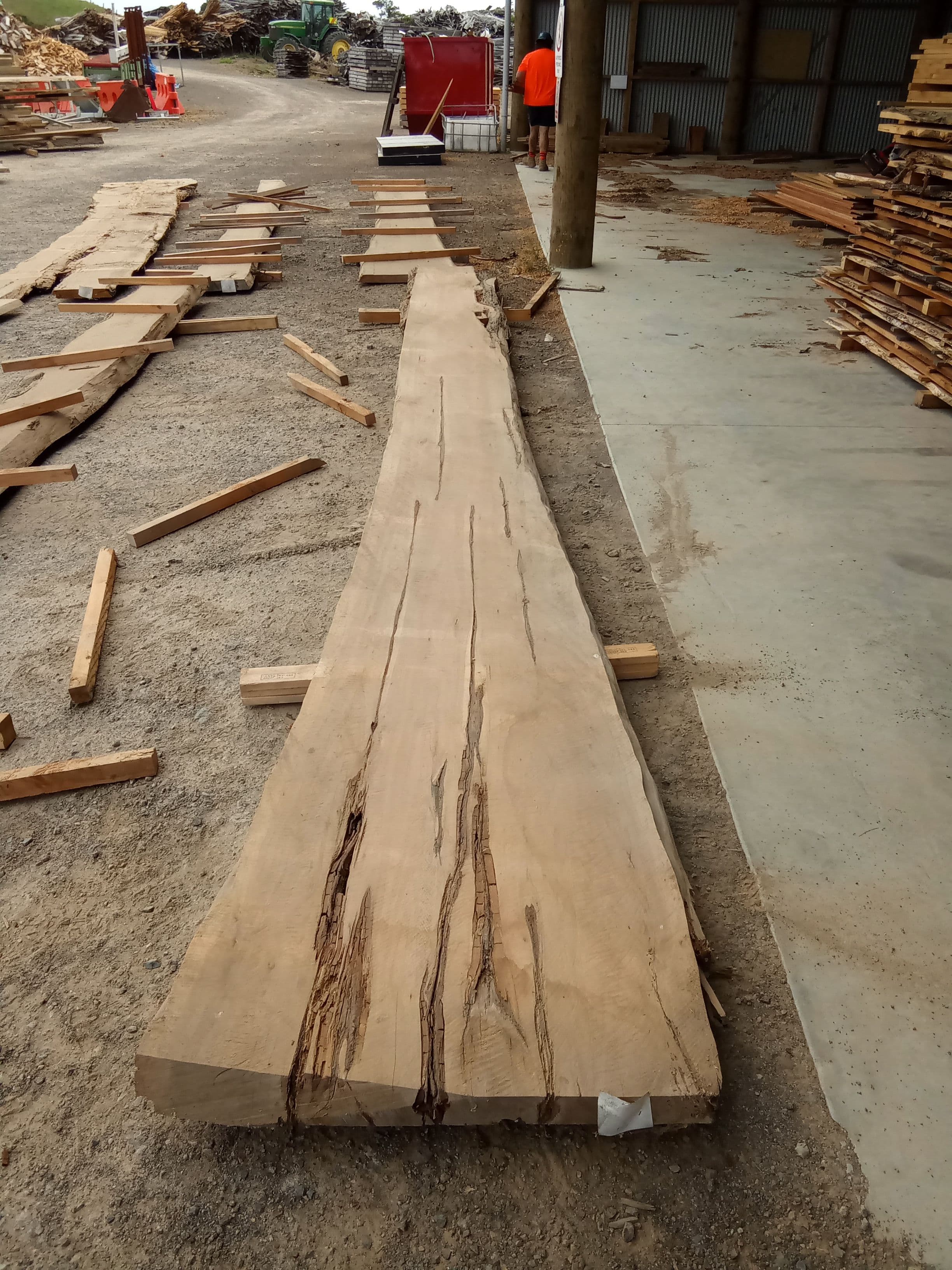 Macrocarpa Slab #1