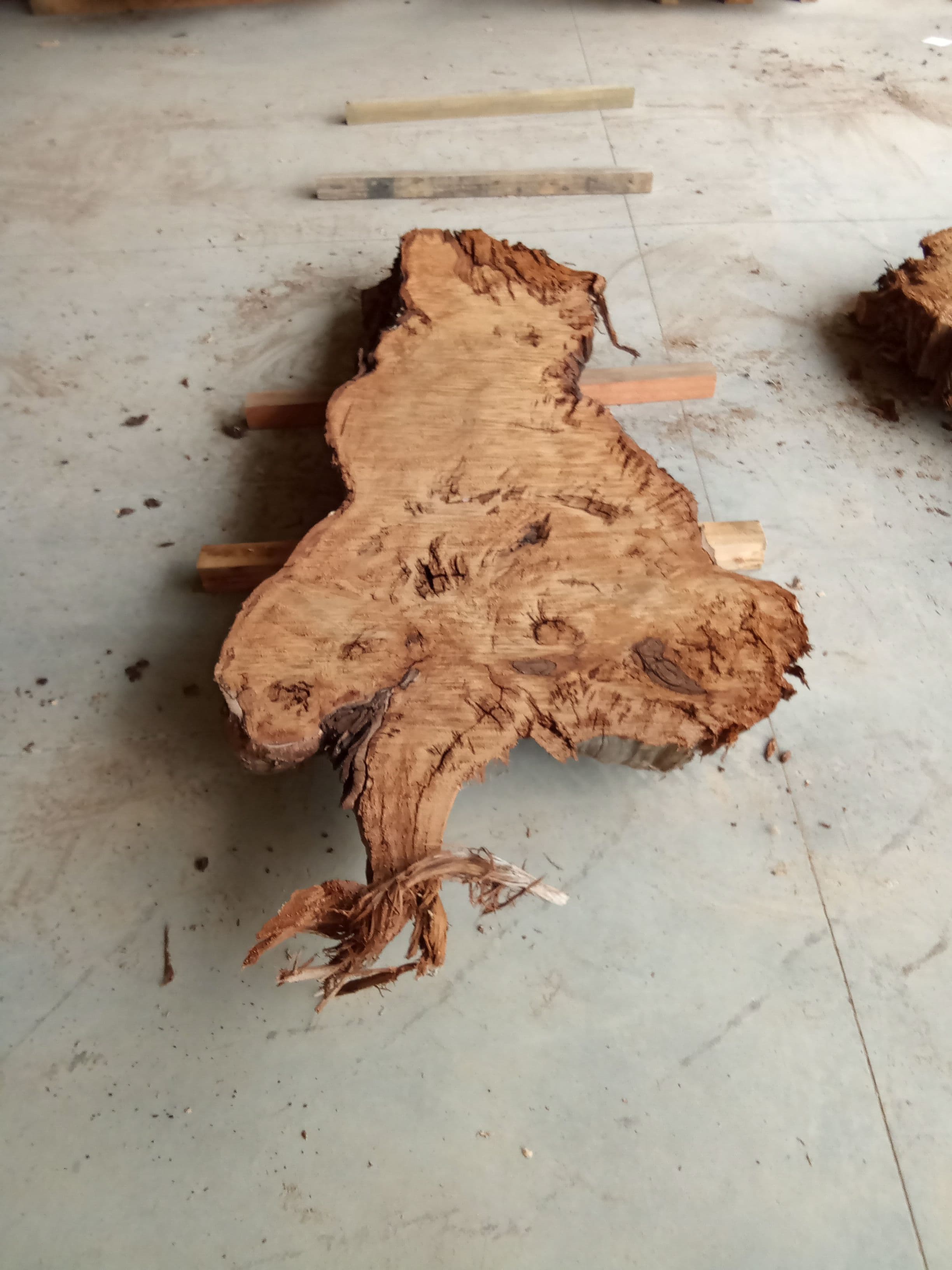 Kauri Slab #4