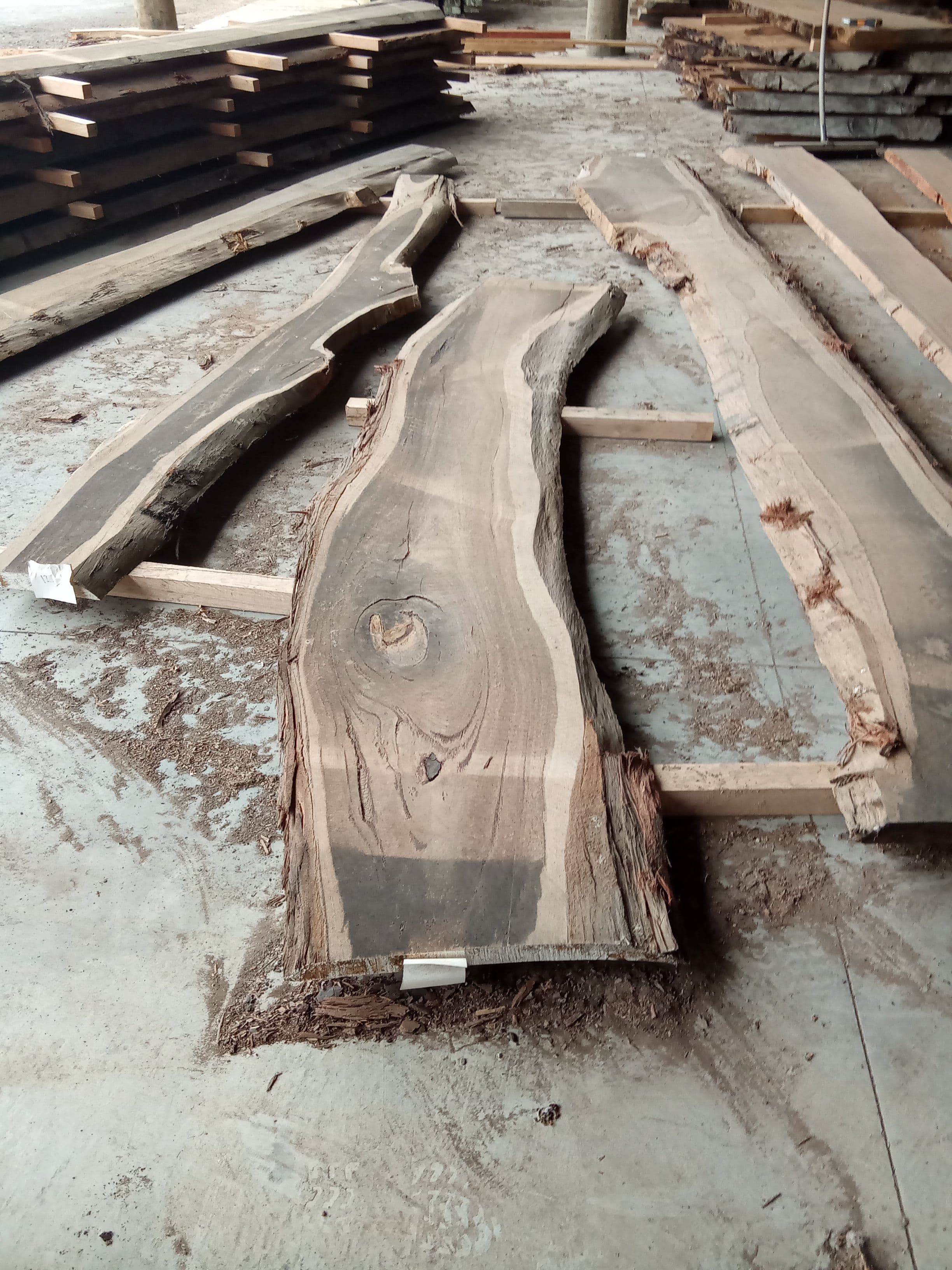 Blackbutt Eucalyptus Slab #18 view 2