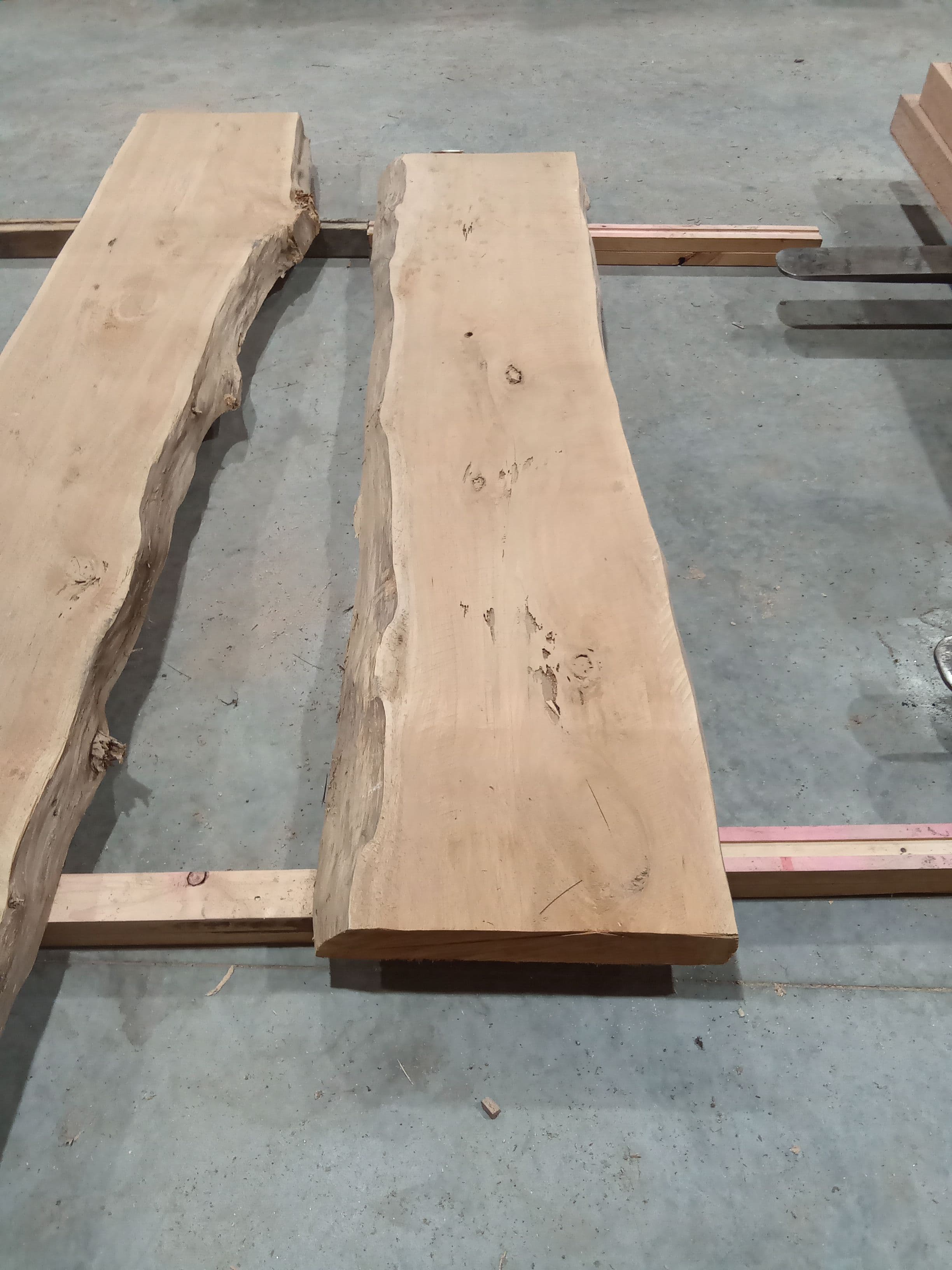 Macrocarpa Slab #34