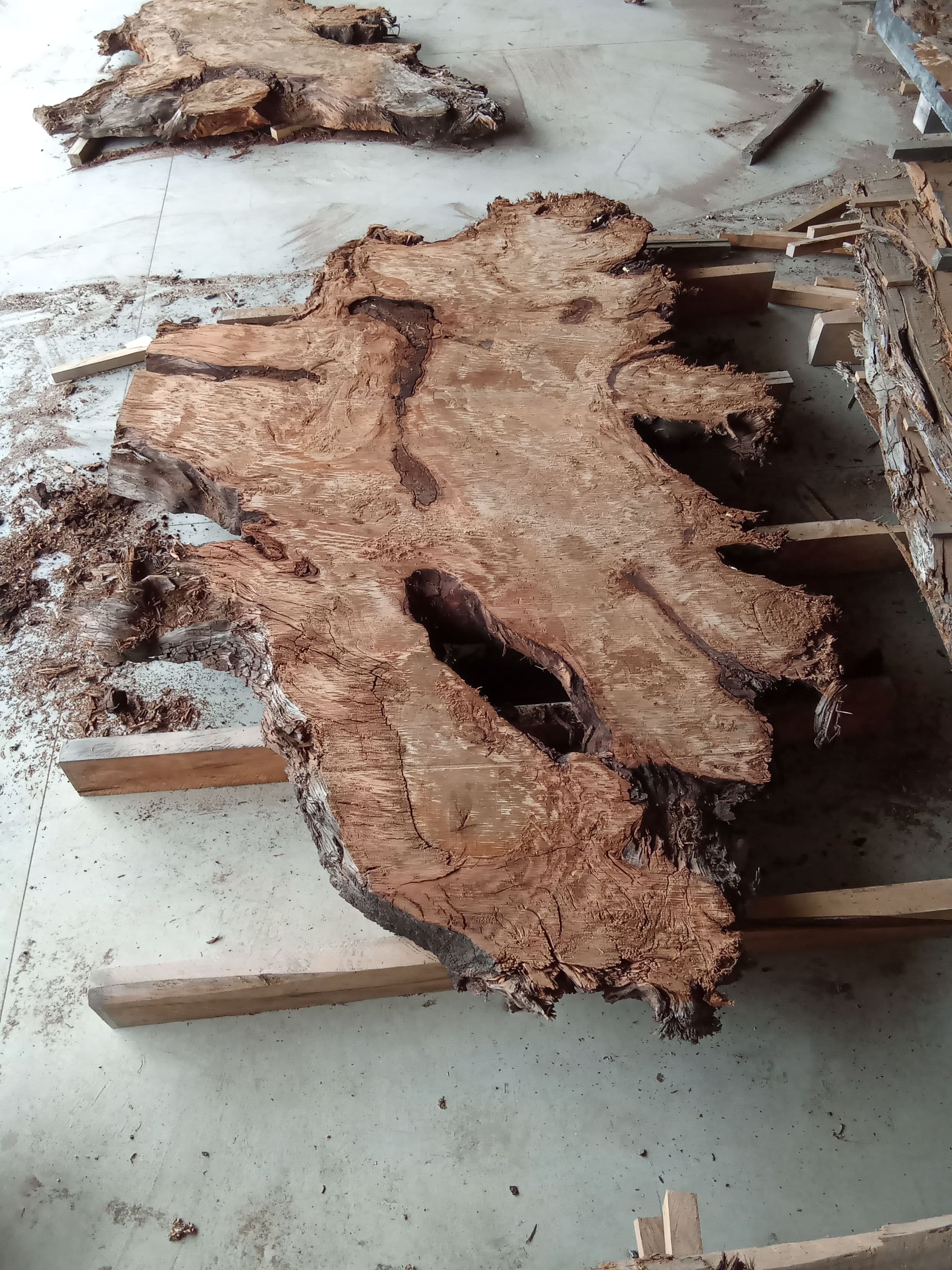 Kauri Slab #9 view 3