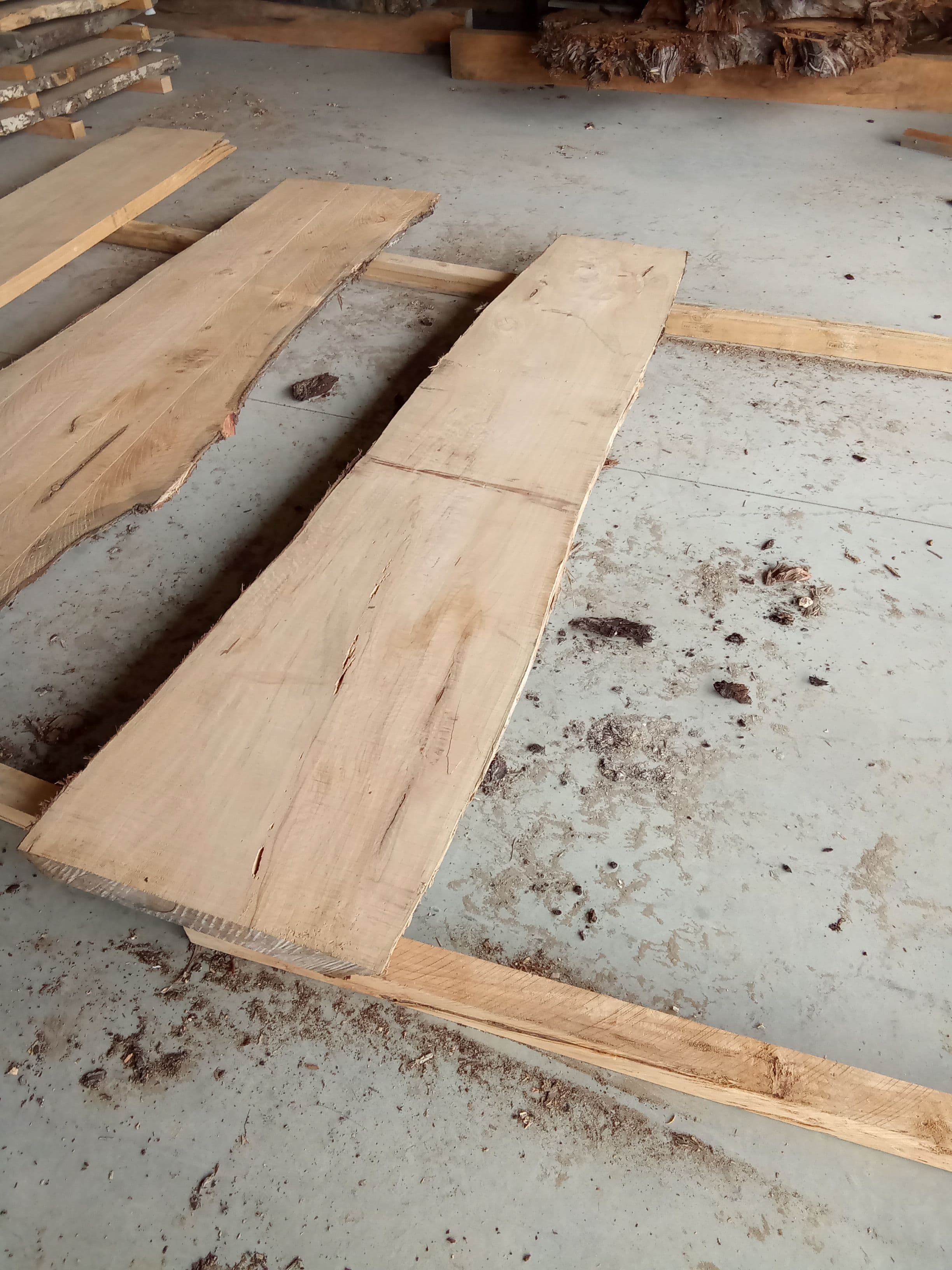 Macrocarpa Slab #22 view 1