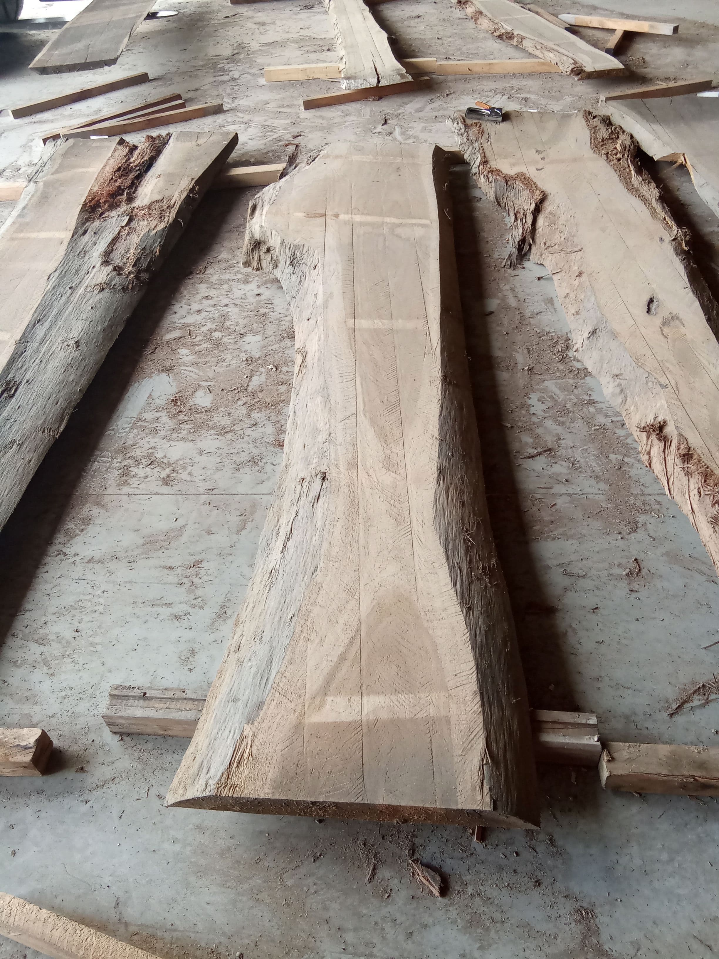 Blackbutt Eucalyptus Slab #26 view 2