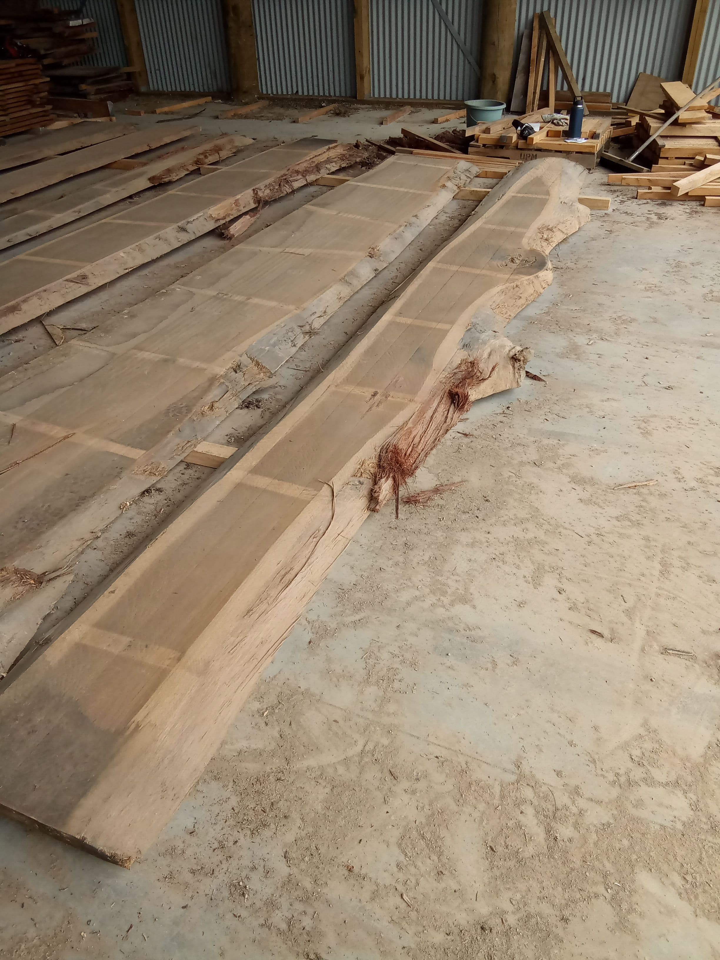 Blackbutt Eucalyptus Slab #11 view 1