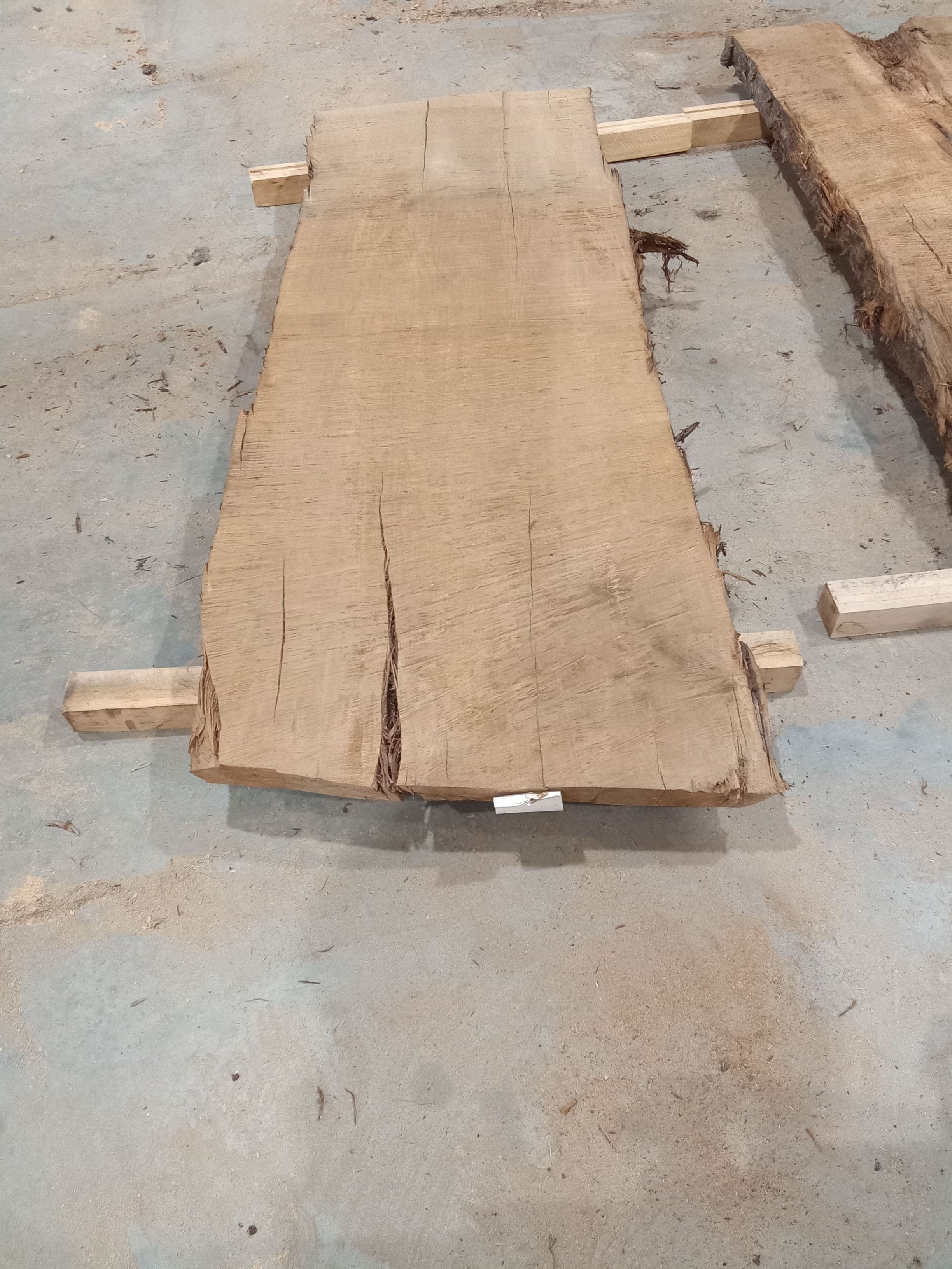 Kauri Slab #37 view 2